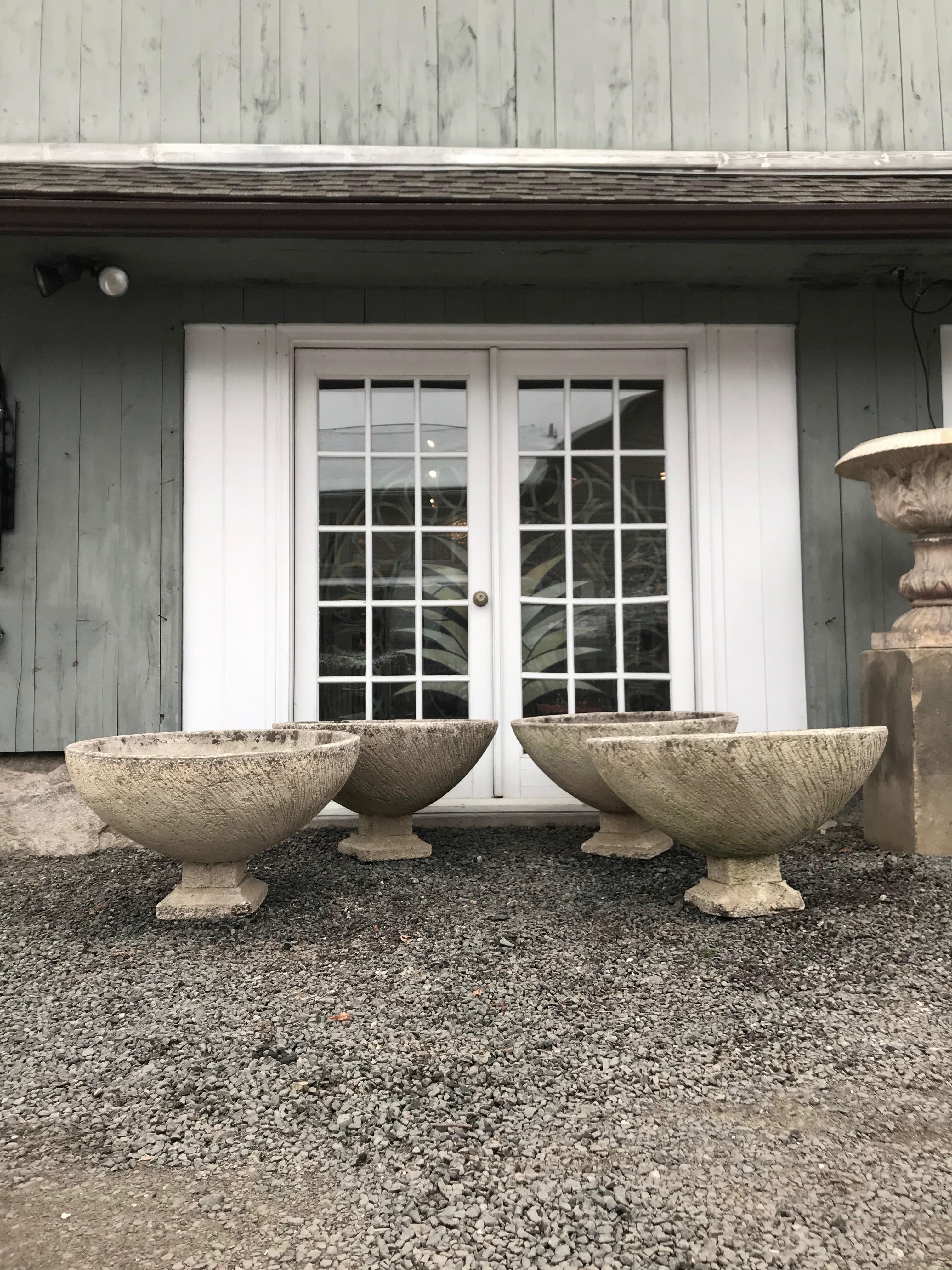 Pair of Large French Cast Stone Bowl Planters on Integral Feet #2 7