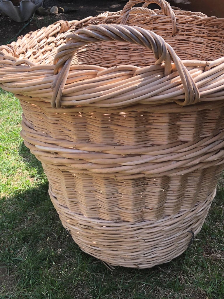 Pair of Large French Champagne Baskets Marked "AB" at 1stDibs