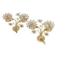 Pair of Large Gilt Brass Flower Shape Wall Lights by Palwa, Germany, 1970s