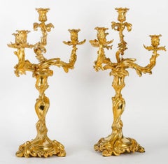 Paire de grands candélabres en bronze doré, style Louis XV, 19ème siècle.
