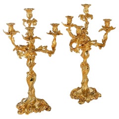 Paire de grands candélabres en bronze doré, style Louis XV, 19ème siècle.