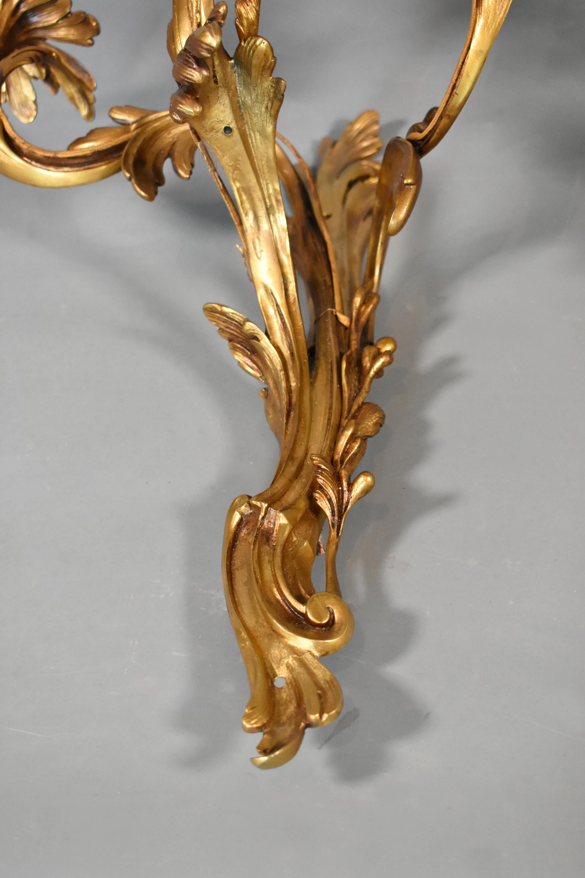 Pair of Large Gilt Bronze Wall Sconces Louis XV Style For Sale 7