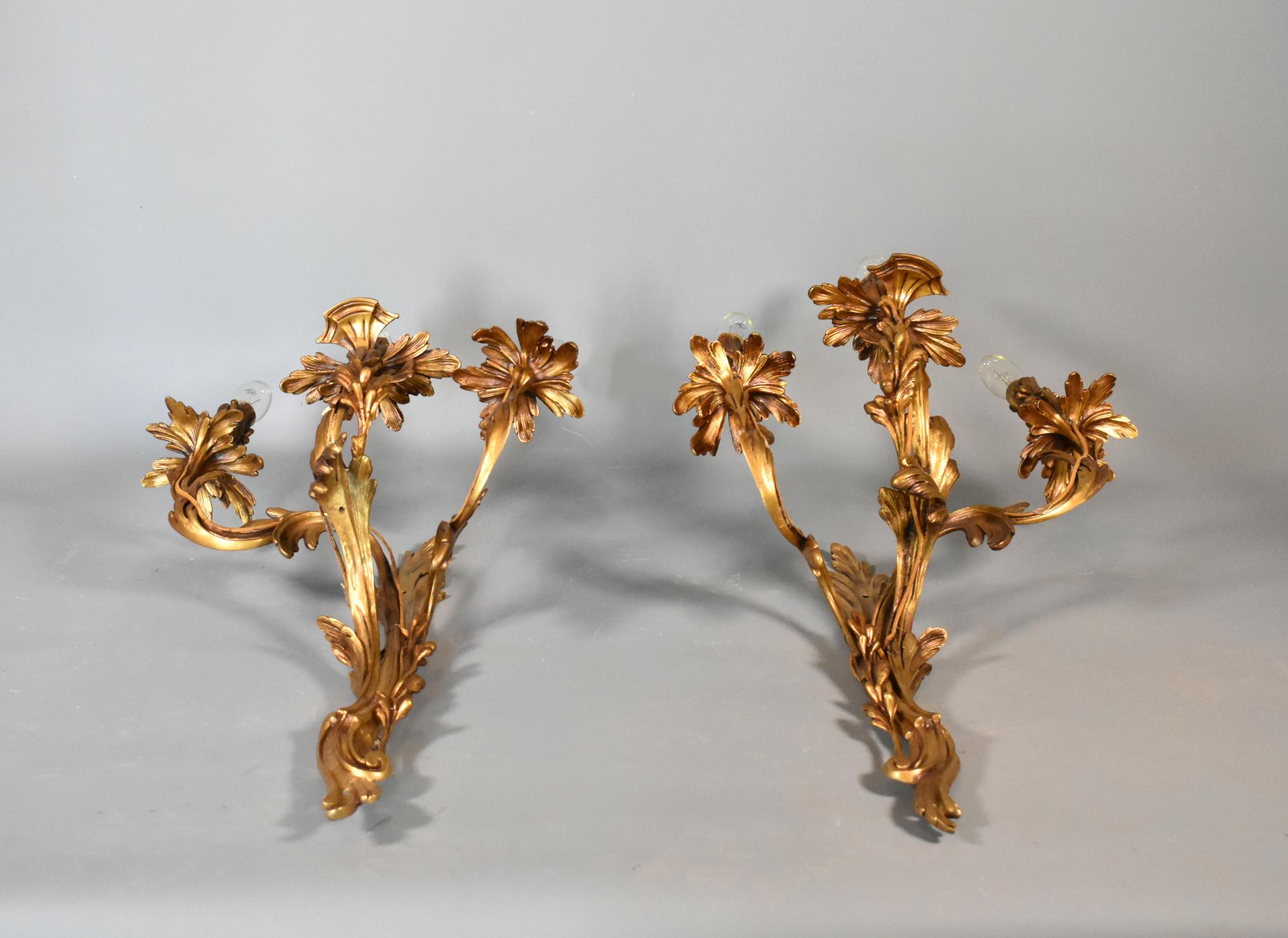 Pareja de Grandes Apliques de Bronce Dorado Estilo Luis XV en Bueno estado para la venta en SAINTE-COLOMBE, FR