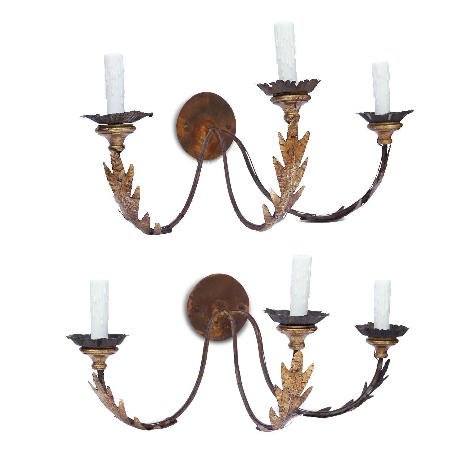 Pair of large gilt-iron three-arm sconces, decorated in gilt-tole acanthus and giltwood bobéches with crimped edge tole cups. These late 19th century Italian sconces are now newly wired, using all UL listed parts, for use within the USA. Lights