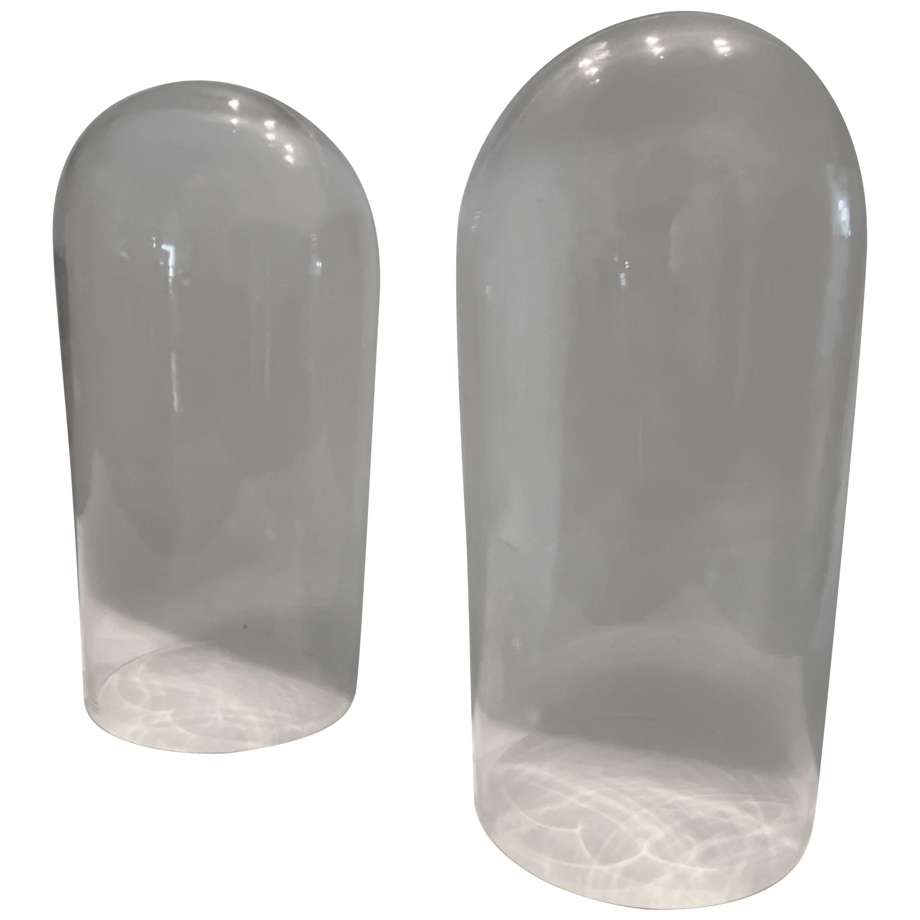 Pair of Large Clear Glass Display Domes For Sale