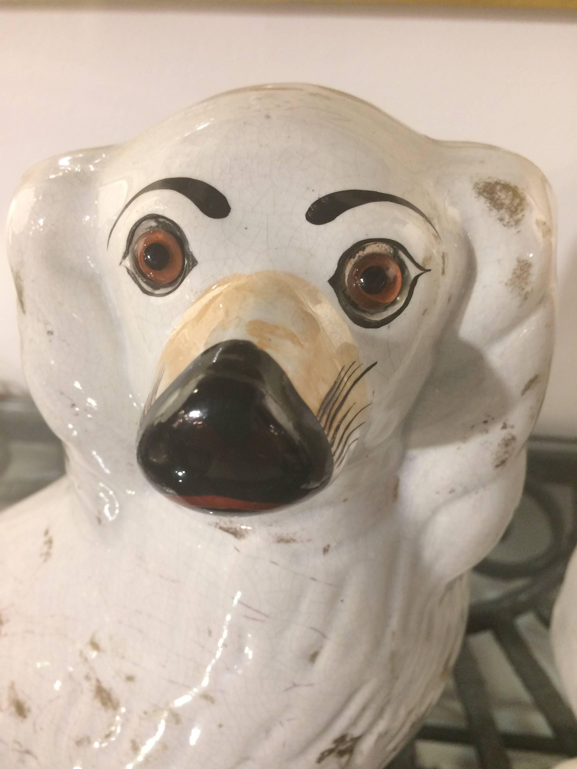 real antique staffordshire dogs