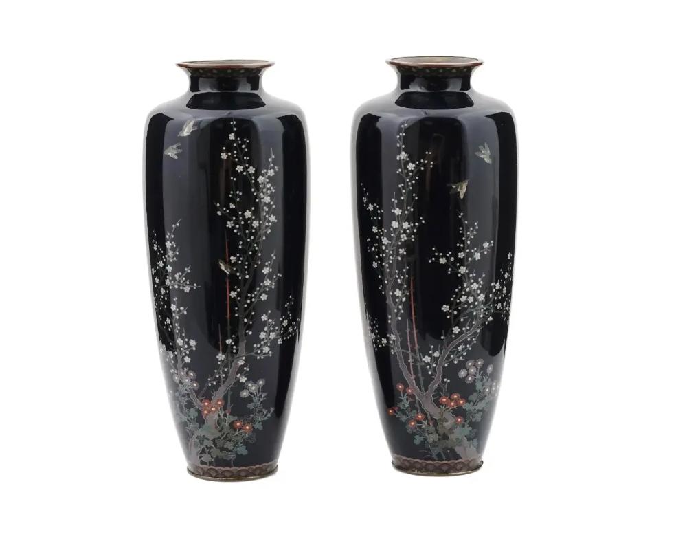 Gran pareja de jarrones japoneses de esmalte cloisonné con pájaros volando sobre cerezos en flor Meiji en venta