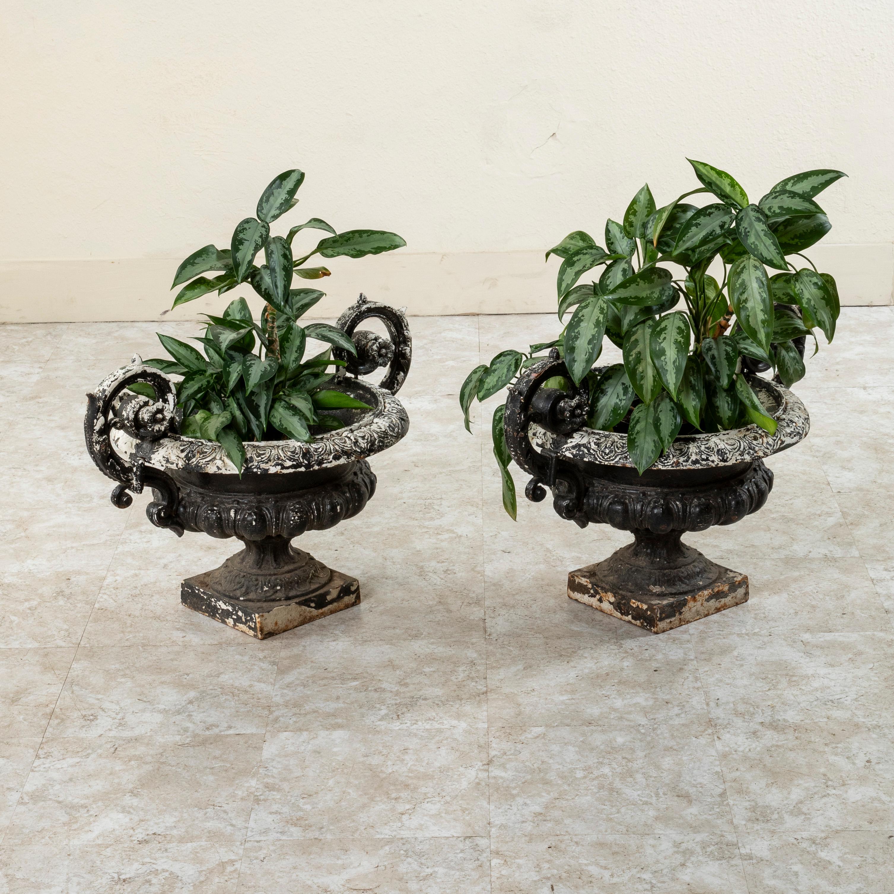 Pair of Large Late 19th Century French Cast Iron Jardinieres, Urns, Planters For Sale 4