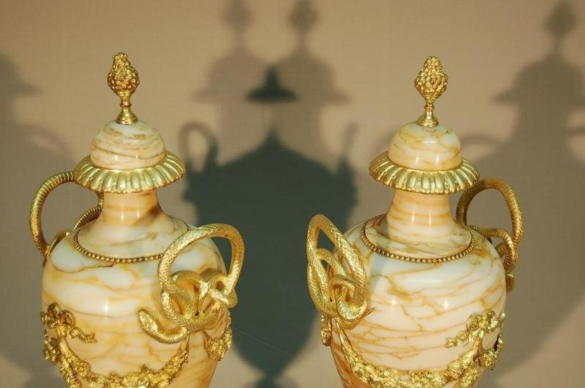 French Pair of Large Marble and Gilt Bronze Vases For Sale