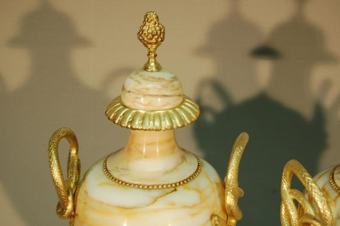 Pair of Large Marble and Gilt Bronze Vases For Sale 1
