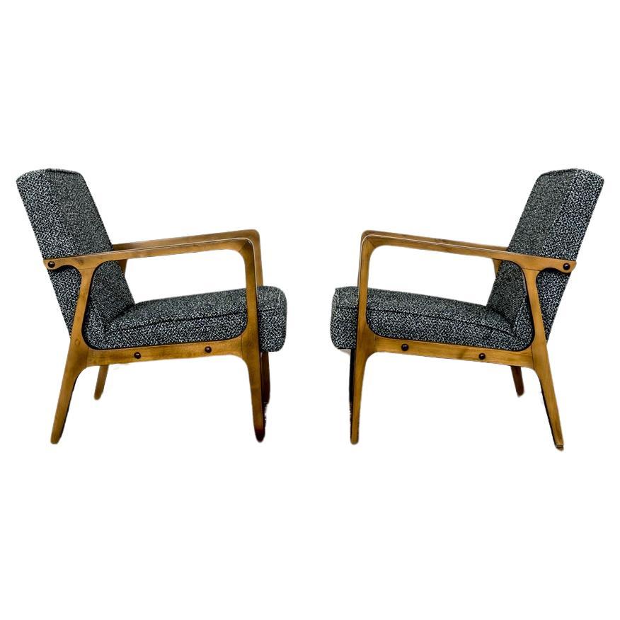Pair Of Mid Century Armchairs Type 04-B From Bydgoskie Fabryki Mebli, 1960's For Sale