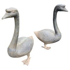 Pair of Large Mid Century Garden Bronze Swans C1975