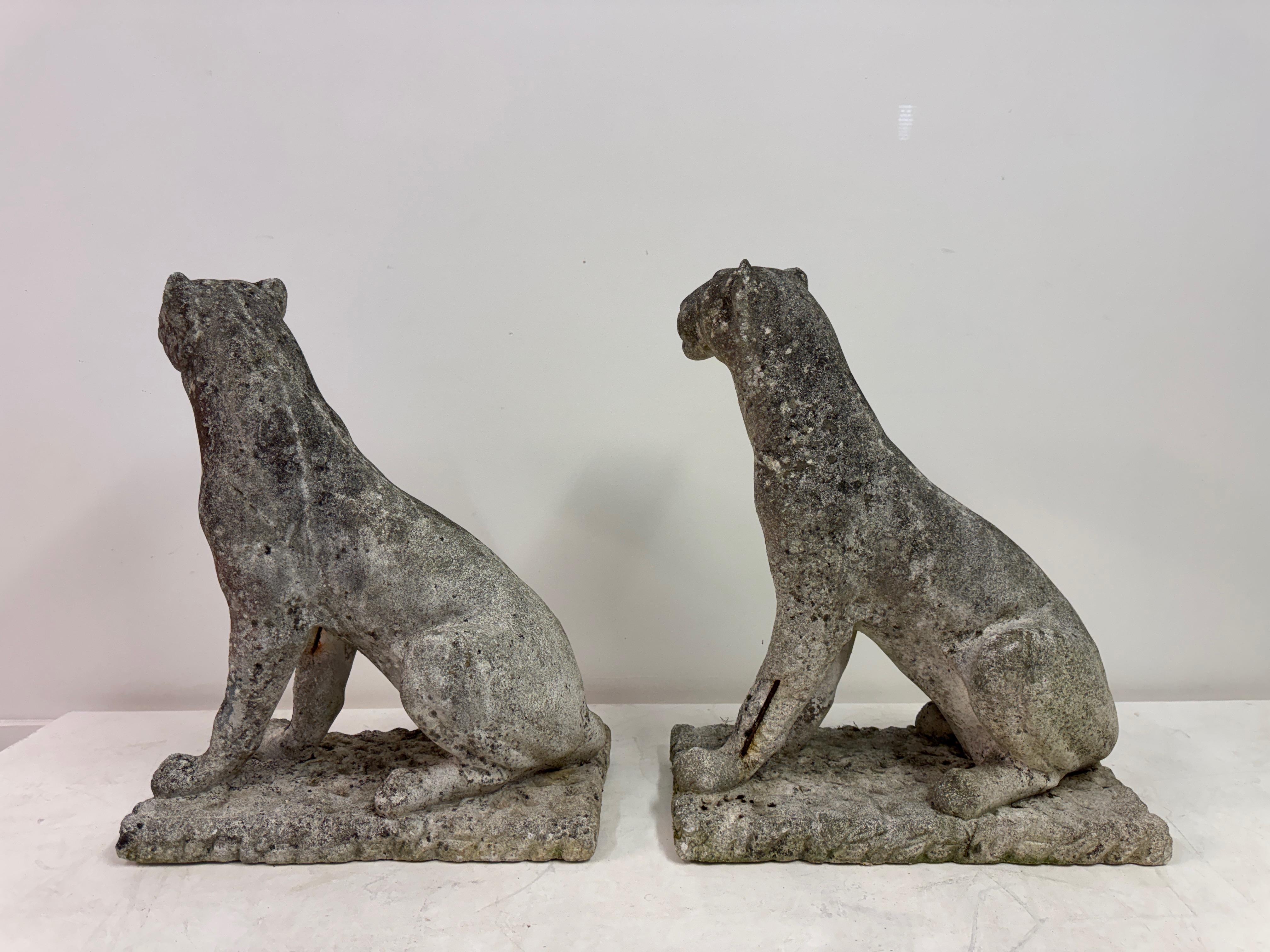 Paar große verwitterte Stein Panther oder Jaguare aus der Mitte des Jahrhunderts im Angebot 7