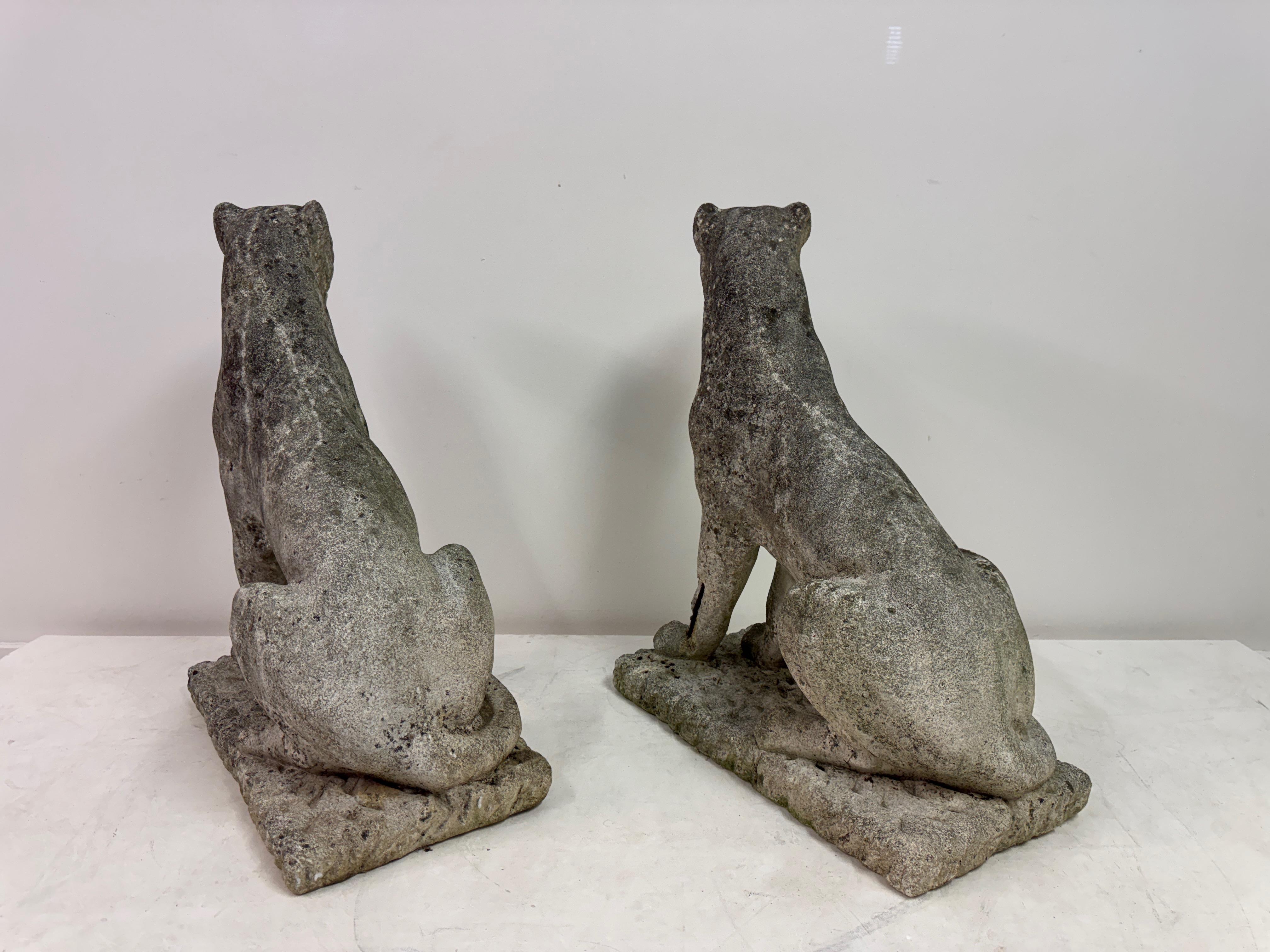 Paar große verwitterte Stein Panther oder Jaguare aus der Mitte des Jahrhunderts im Angebot 9