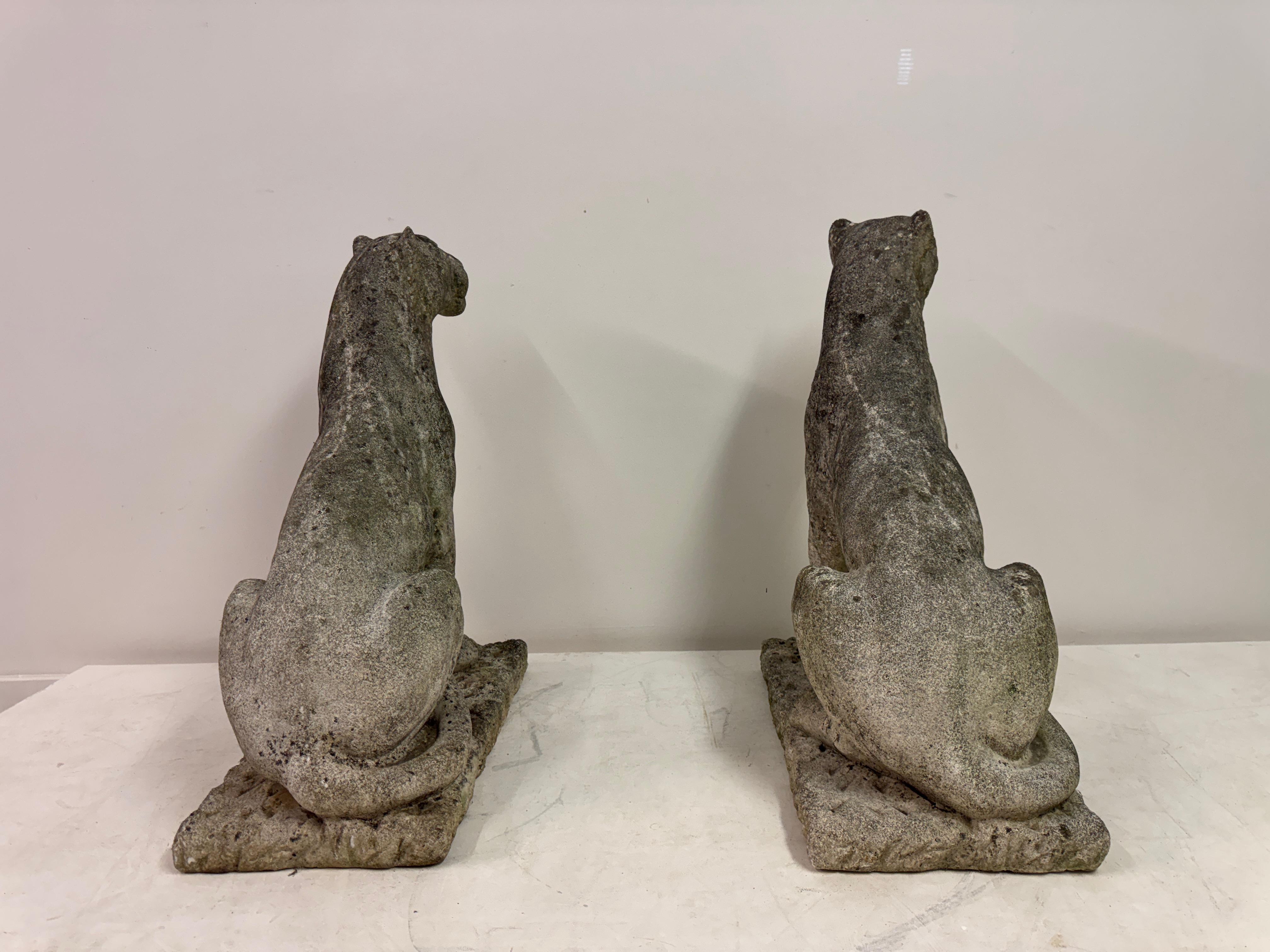 Paar große verwitterte Stein Panther oder Jaguare aus der Mitte des Jahrhunderts im Angebot 10