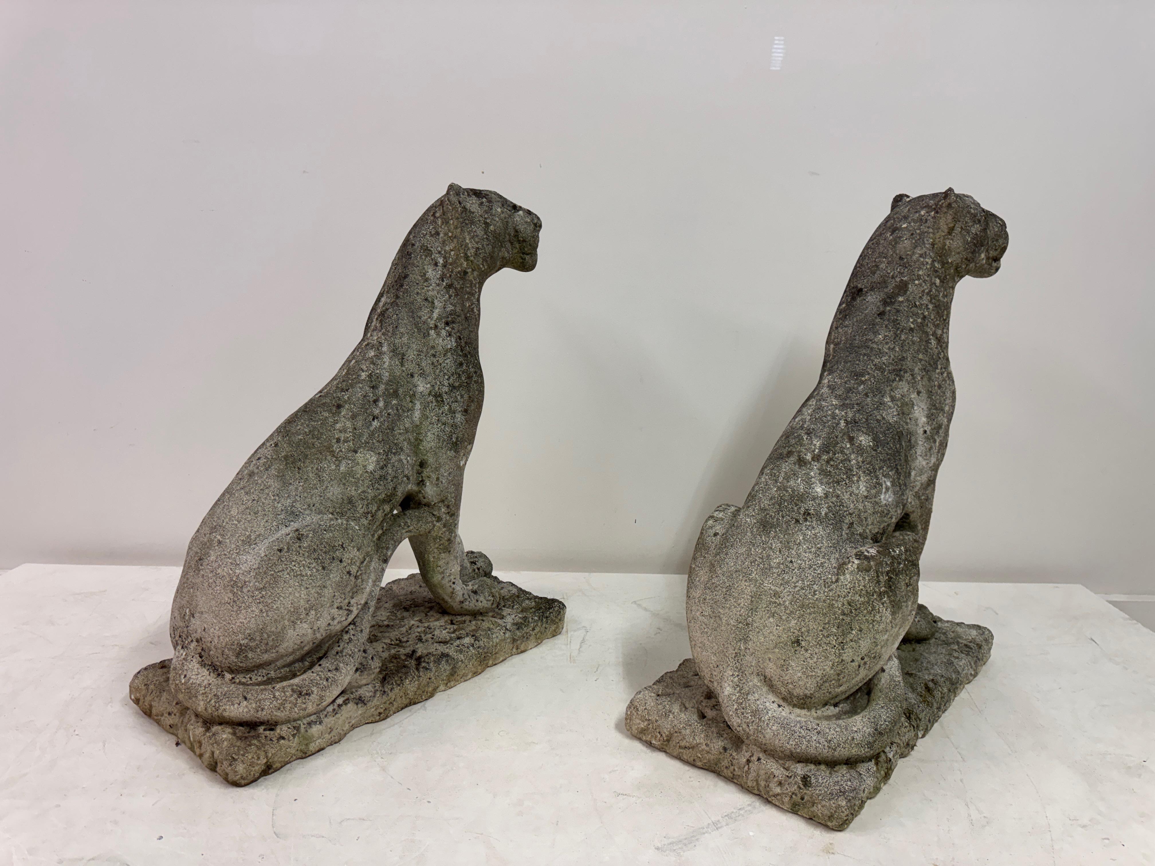 Paar große verwitterte Stein Panther oder Jaguare aus der Mitte des Jahrhunderts im Angebot 11