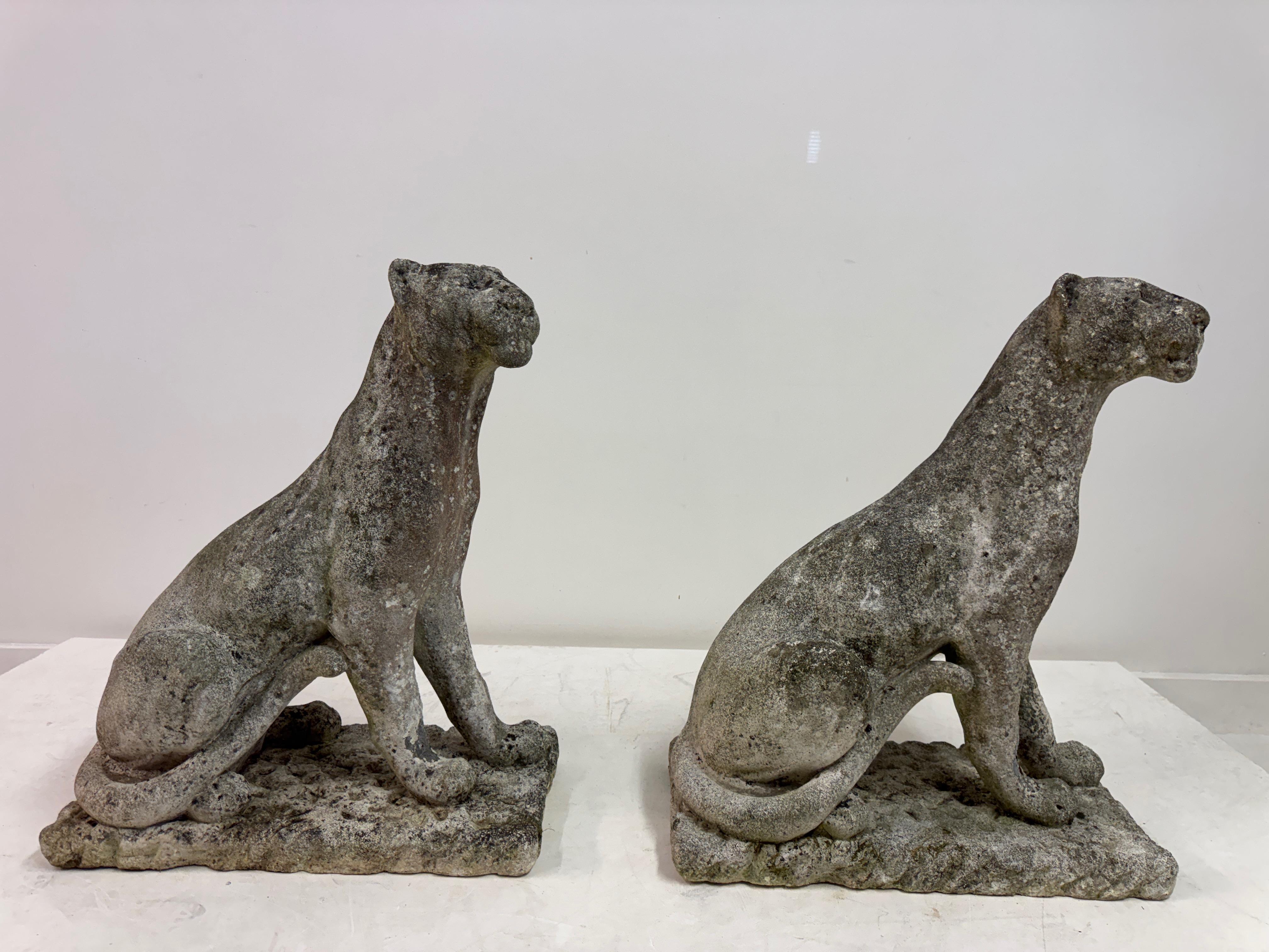 Paar große verwitterte Stein Panther oder Jaguare aus der Mitte des Jahrhunderts im Angebot 12