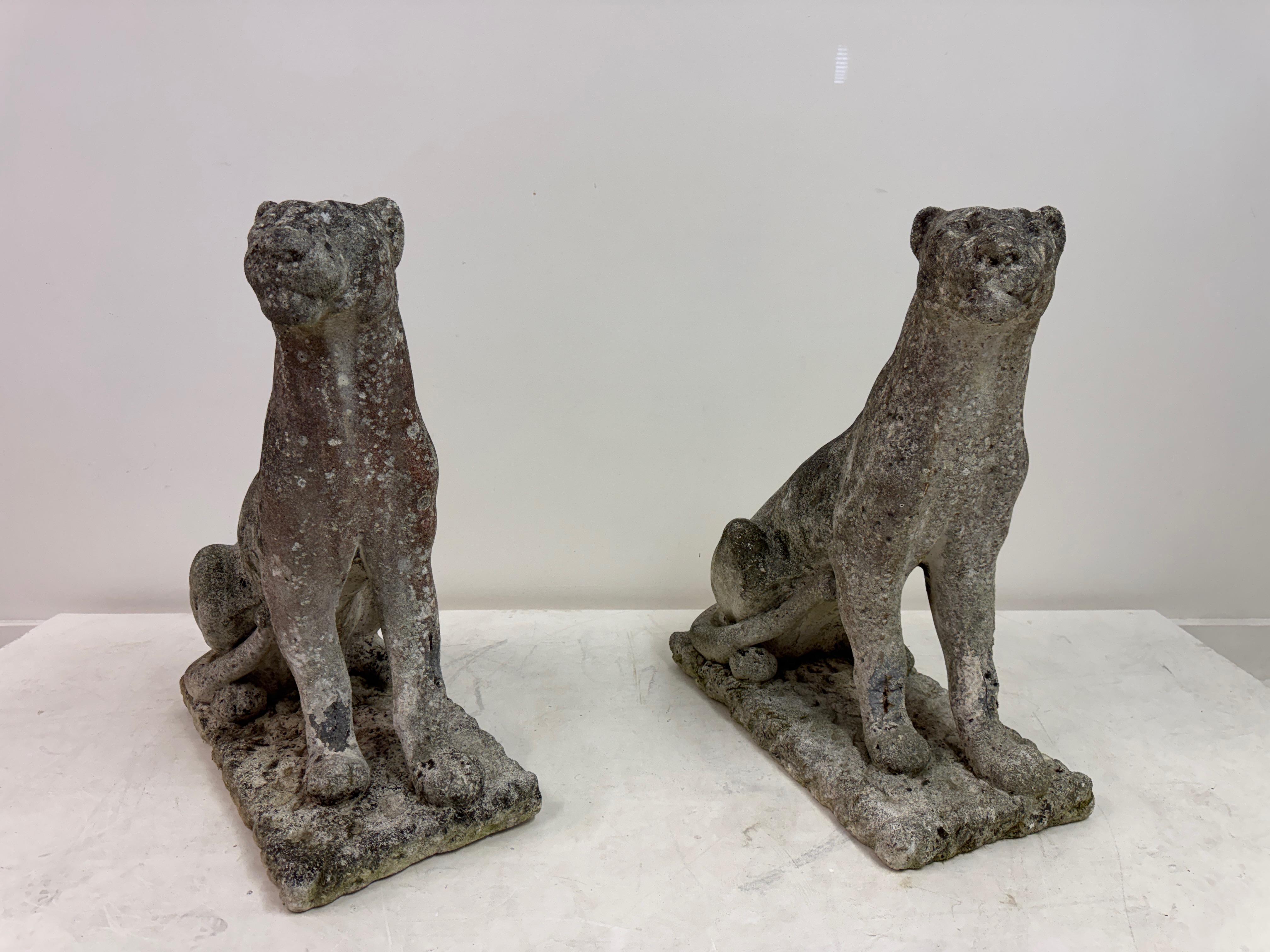 Paar große verwitterte Stein Panther oder Jaguare aus der Mitte des Jahrhunderts im Angebot 13