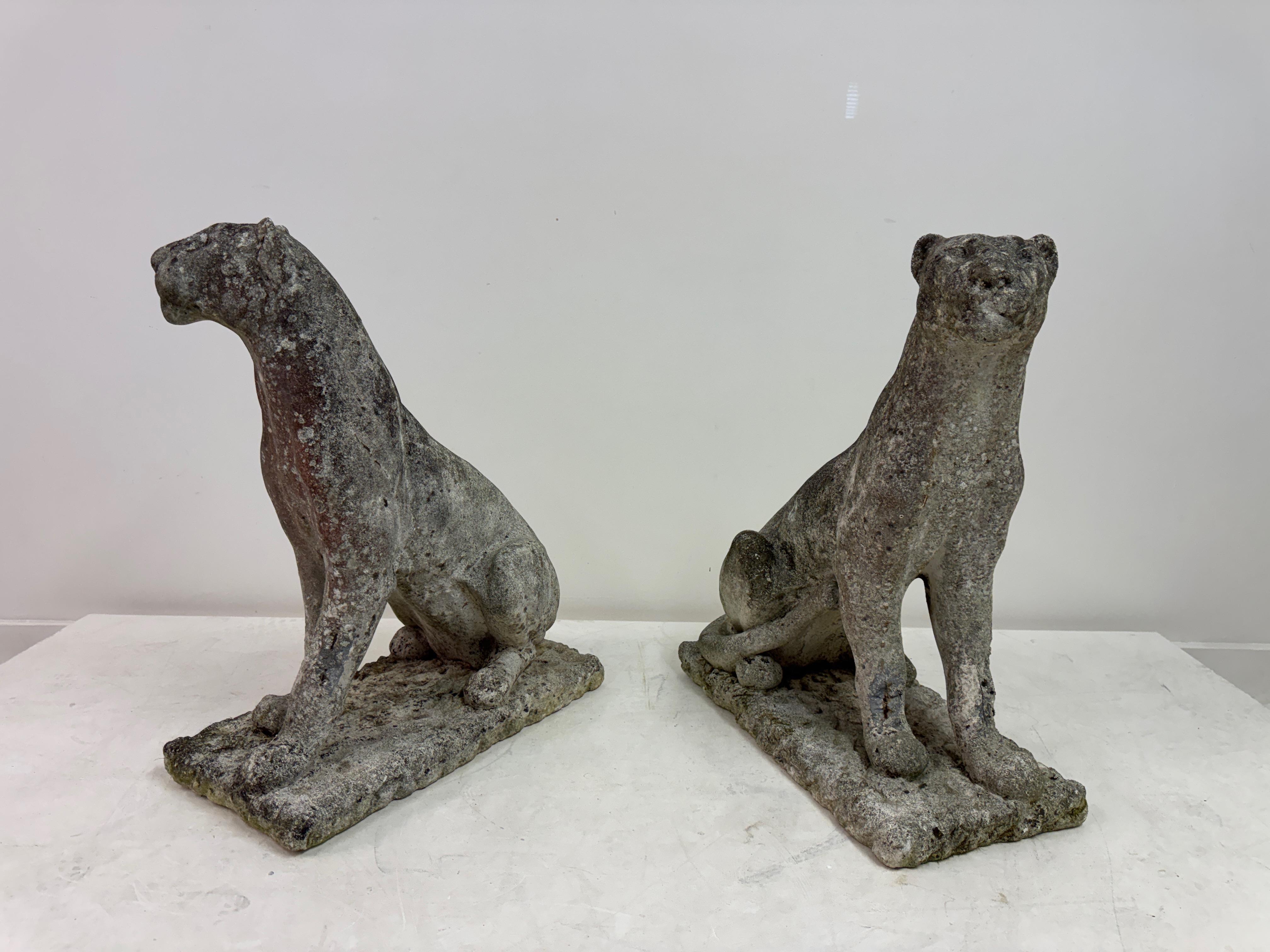 Paar große verwitterte Stein Panther oder Jaguare aus der Mitte des Jahrhunderts im Angebot 14