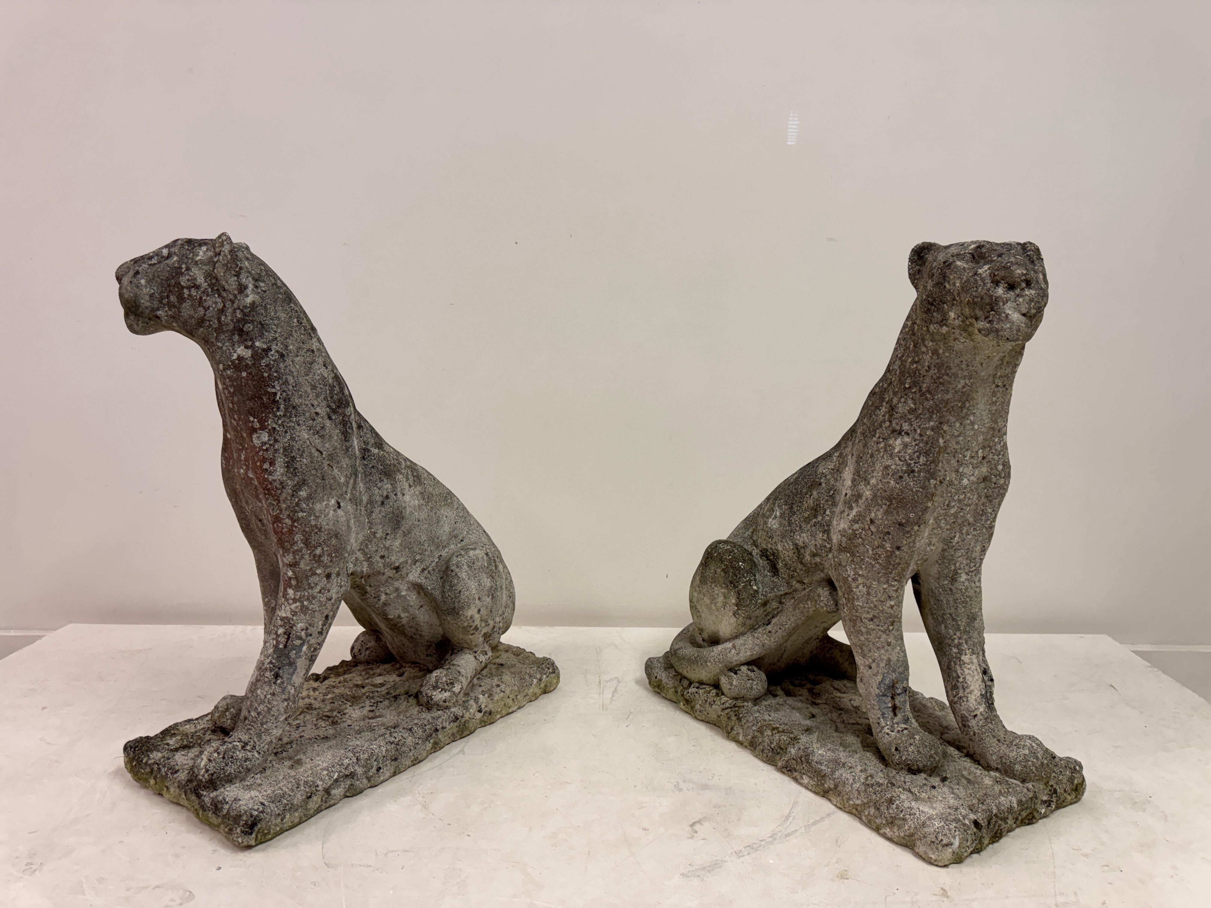 Paar große verwitterte Stein Panther oder Jaguare aus der Mitte des Jahrhunderts im Angebot 15