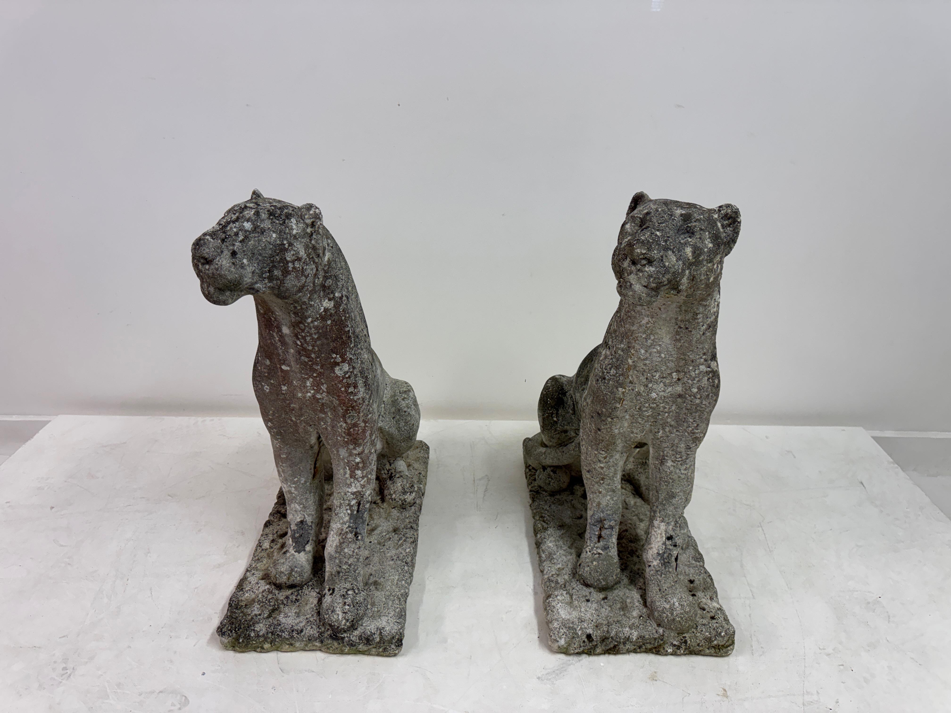 Paar große verwitterte Stein Panther oder Jaguare aus der Mitte des Jahrhunderts (Britisch) im Angebot
