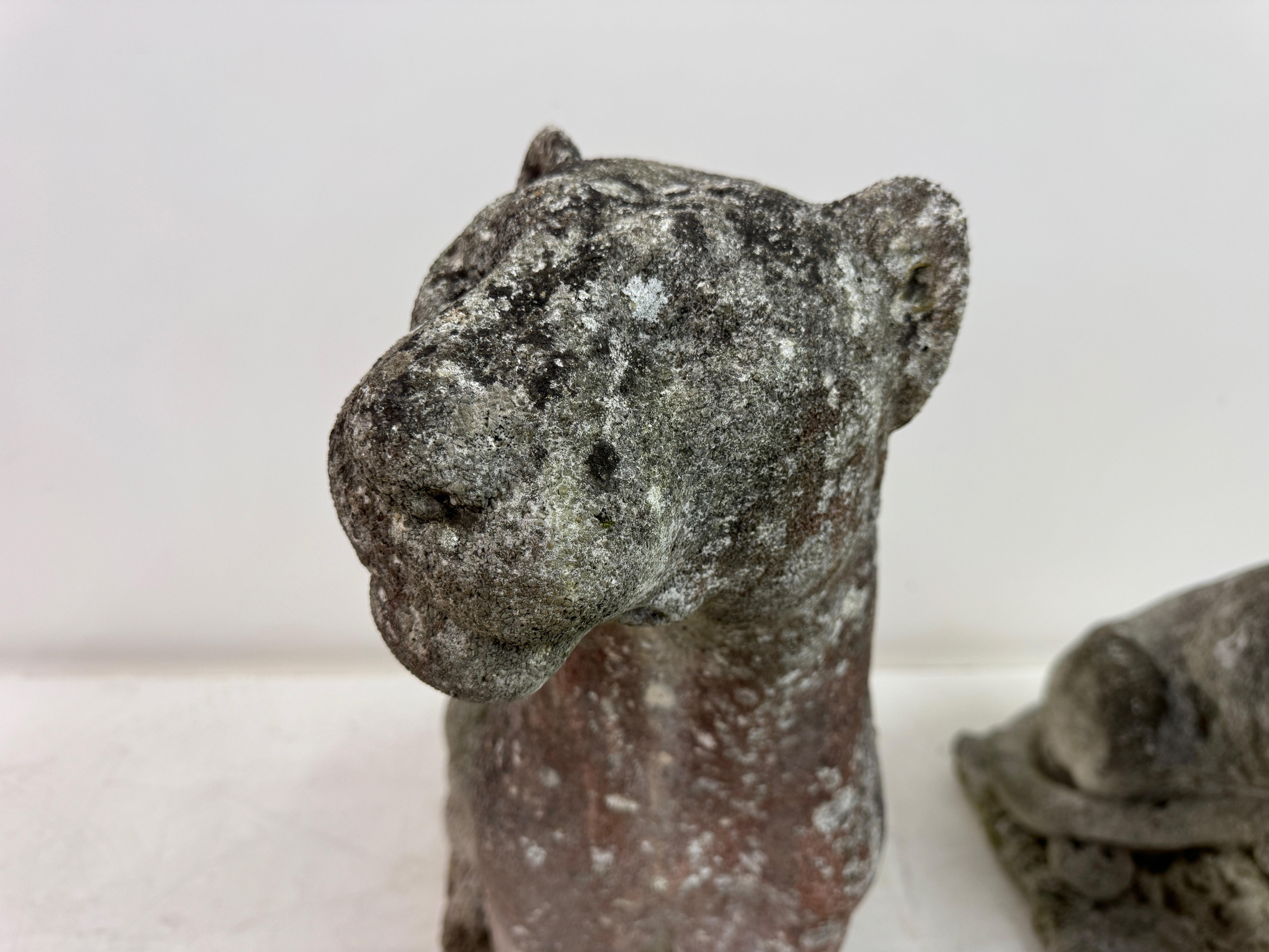 Paar große verwitterte Stein Panther oder Jaguare aus der Mitte des Jahrhunderts im Angebot 1