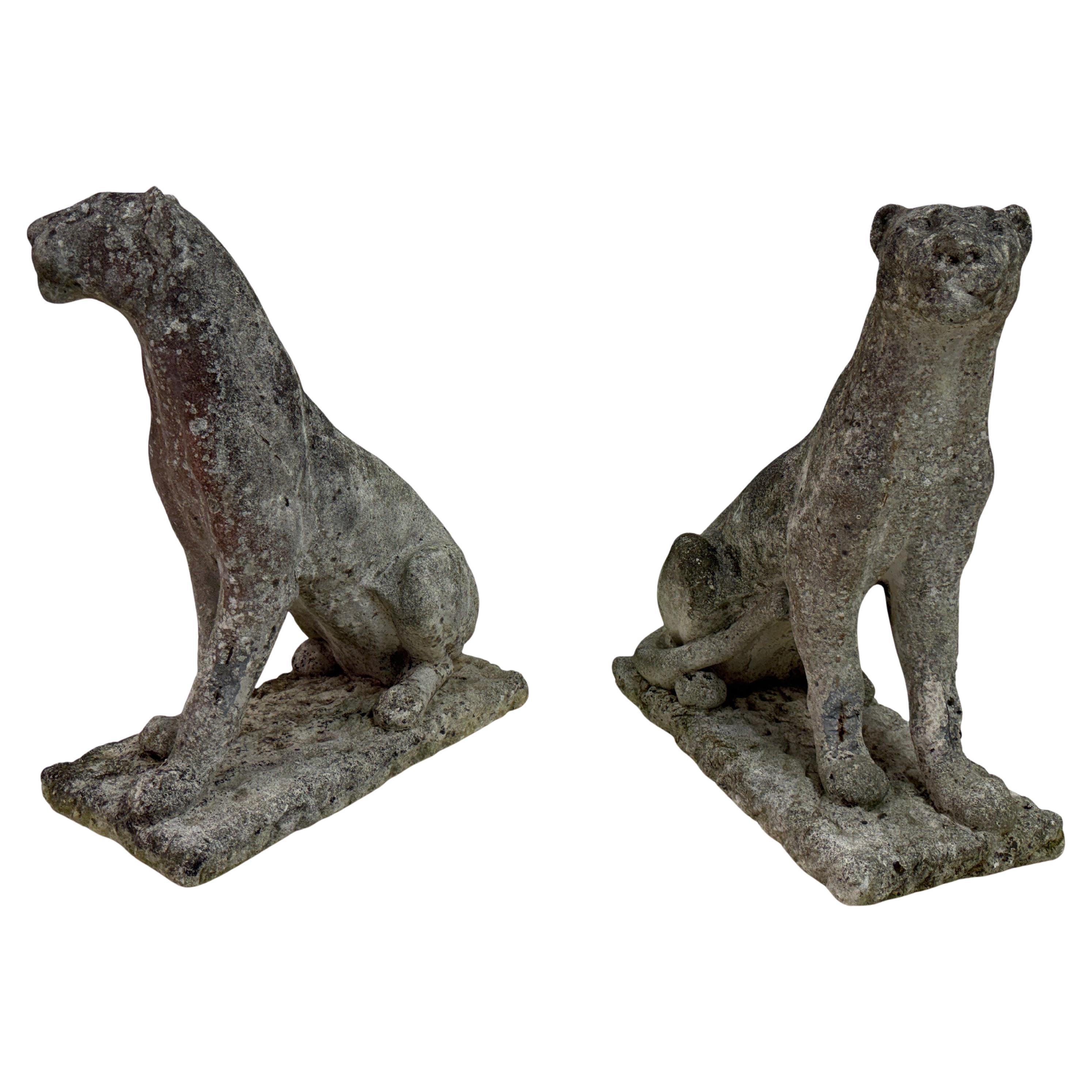 Paar große verwitterte Stein Panther oder Jaguare aus der Mitte des Jahrhunderts im Angebot
