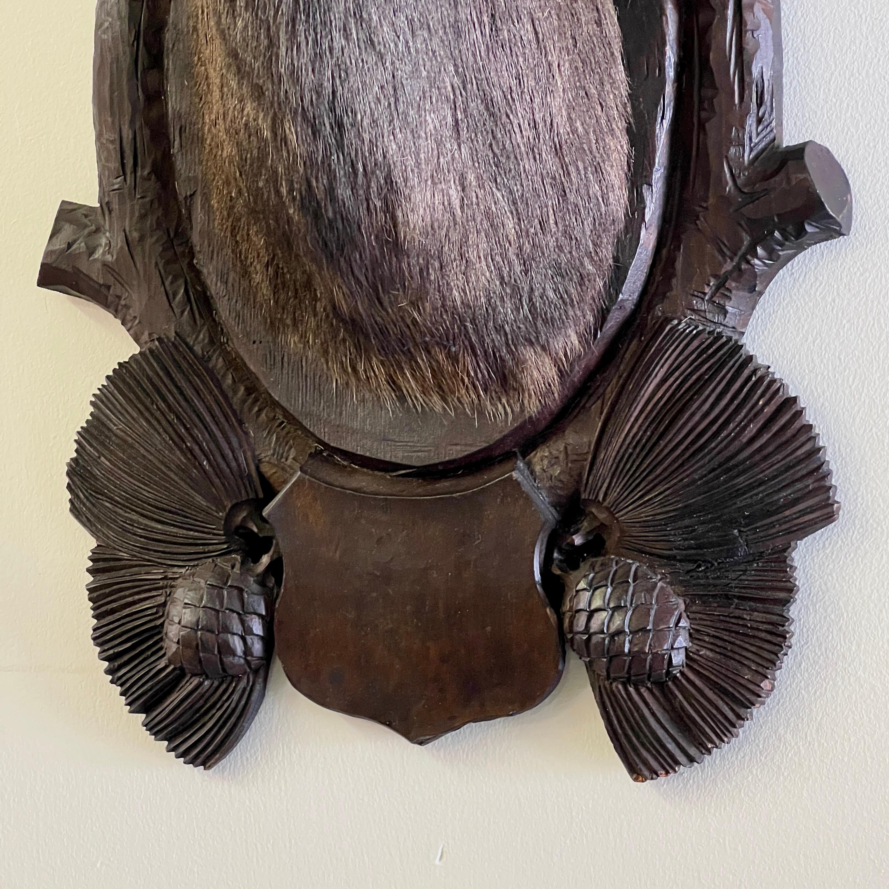 Pair Of Large Mounted Black Forest Chamois Taxidermy For Sale 1