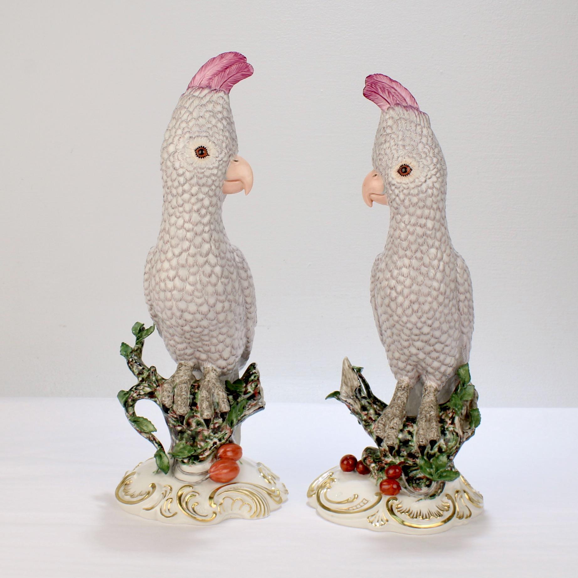 A very fine pair of Nymphenburg porcelain figurines.

Modeled as cockatoos (or Kakadu in German) perched on tree stumps with fruit at the plinths. 

Polychrome decorated - The grey birds have purple crests. They rest on wildly decorated black,