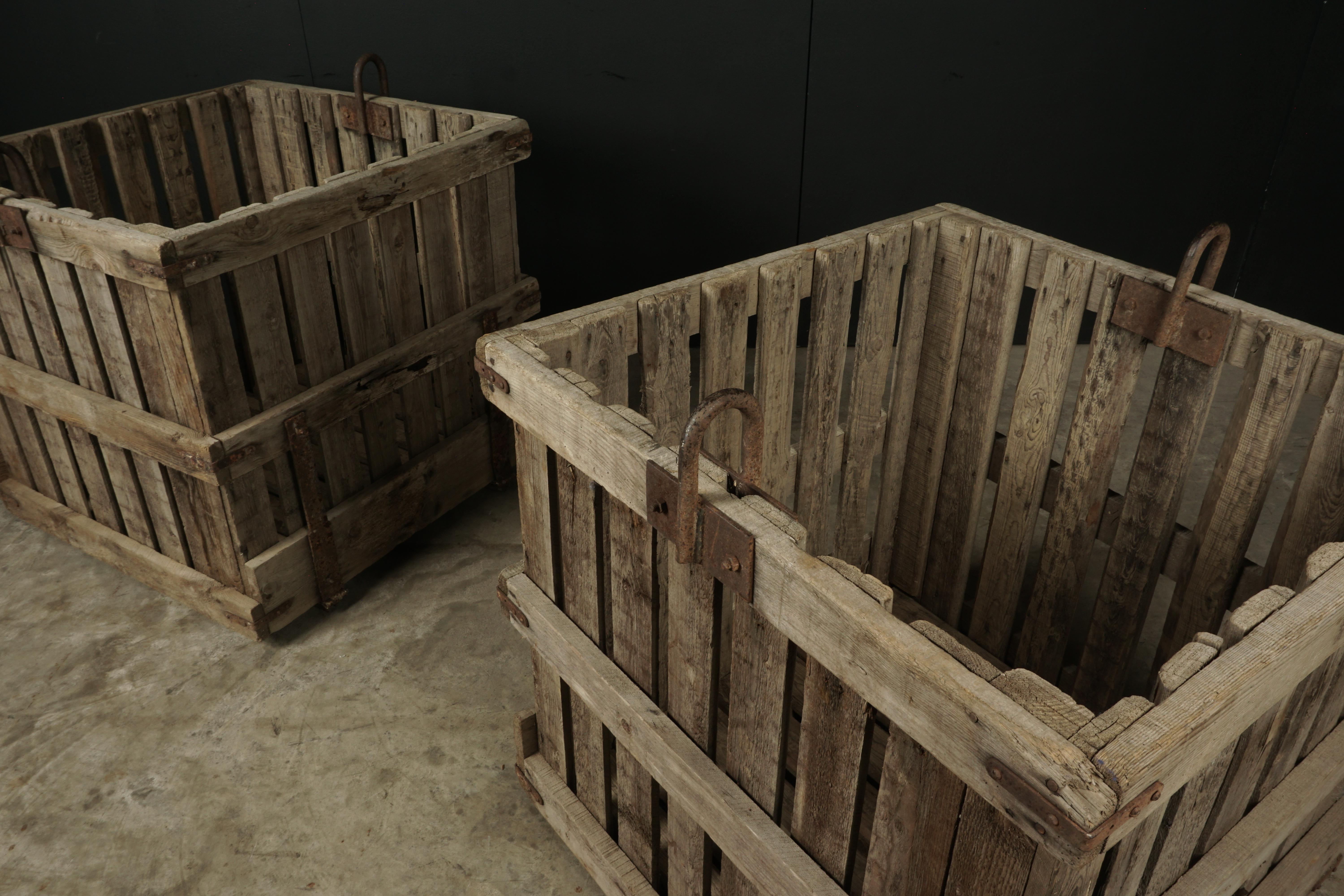 European Large Pair of Oak Shipping Crates from France, circa 1940