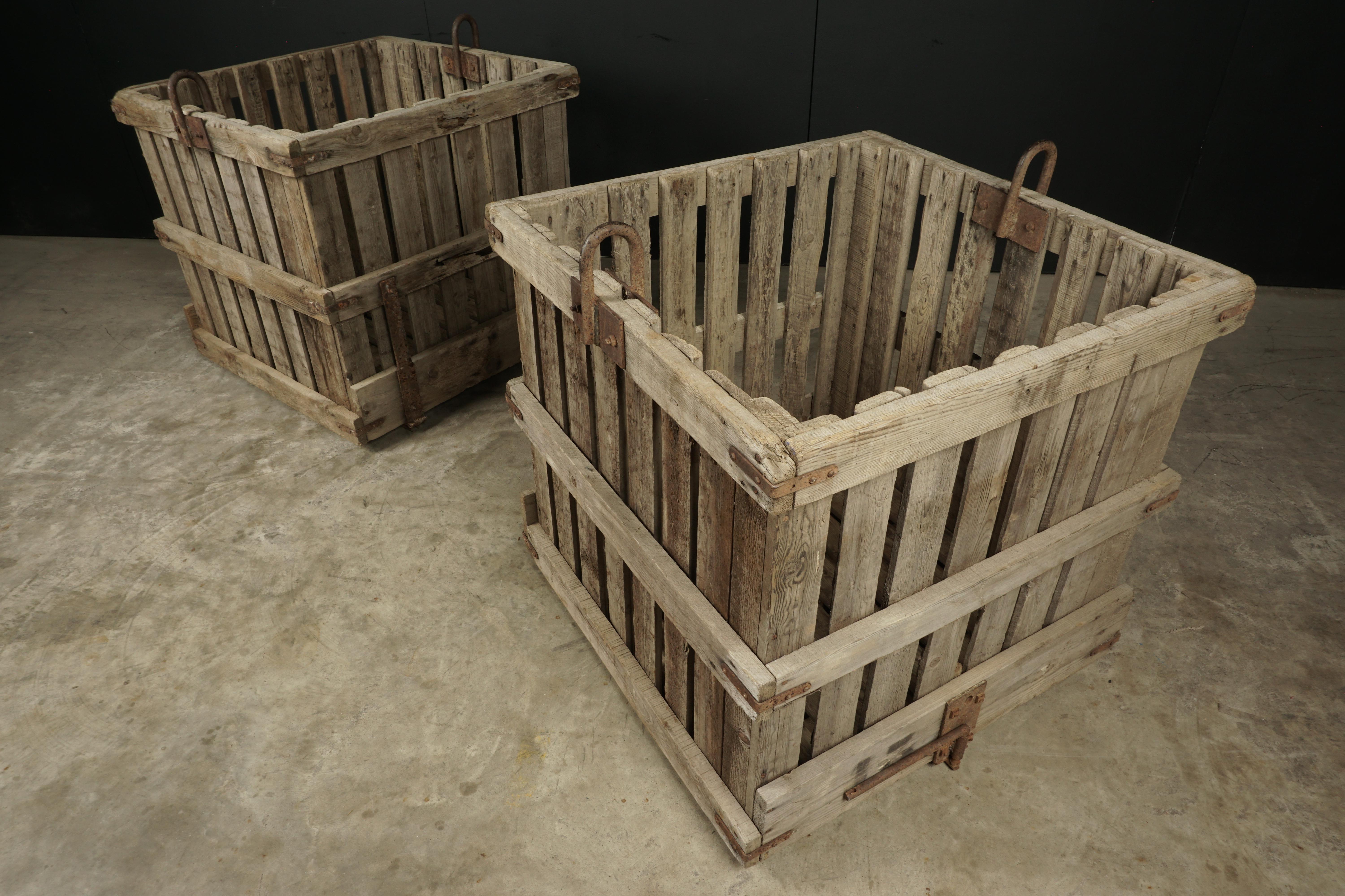 Large Pair of Oak Shipping Crates from France, circa 1940 3