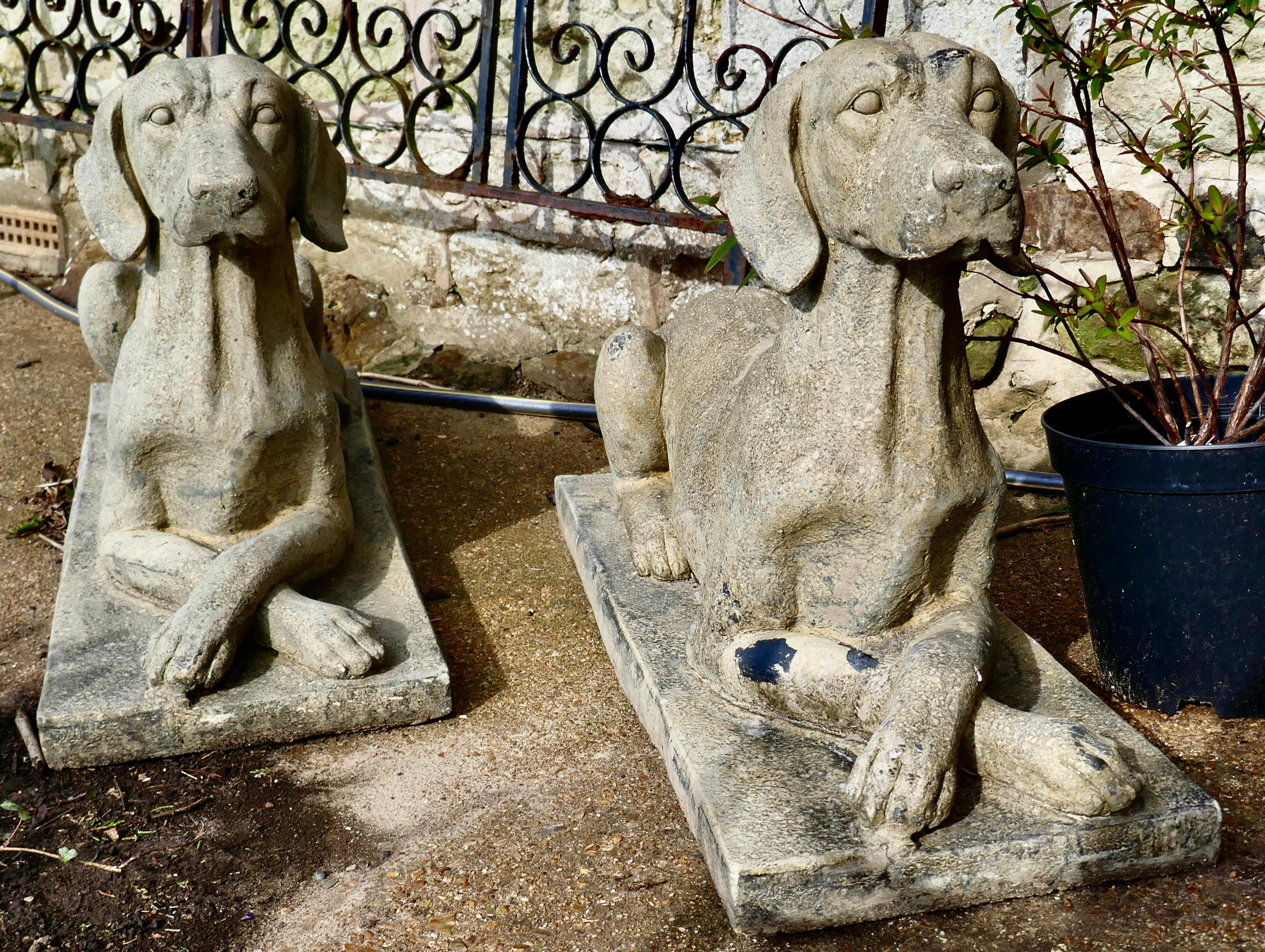 Pair of Large Old Weathered Labradors Statues

A lovely pair of life-size Large Old Weathered labradors, this handsome pair have been guarding the Porch in all weathers for many years, they are laying down with their paws crossed 
They have some
