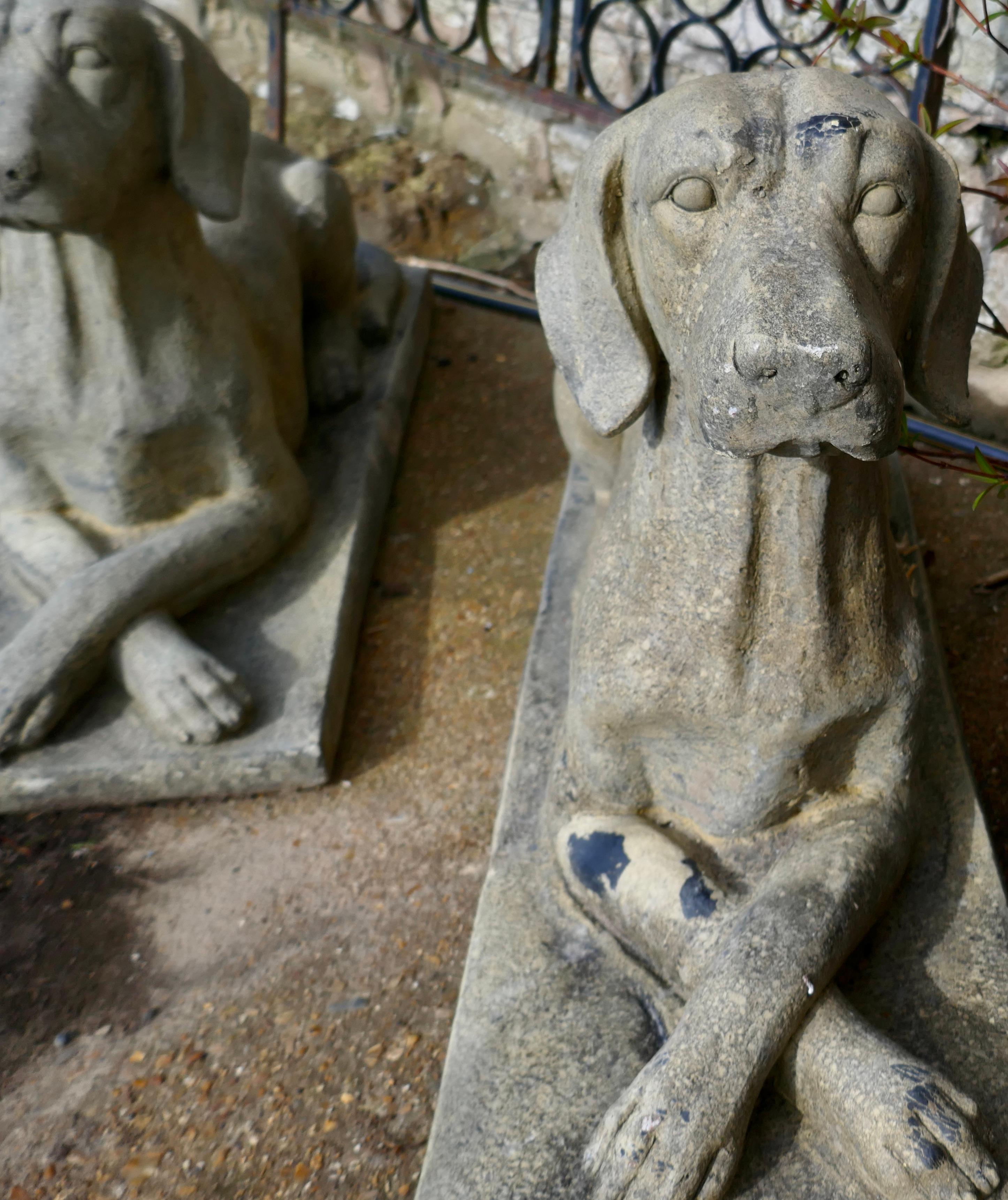 Cast Stone Pair of Large Old Weathered Labradors Statues