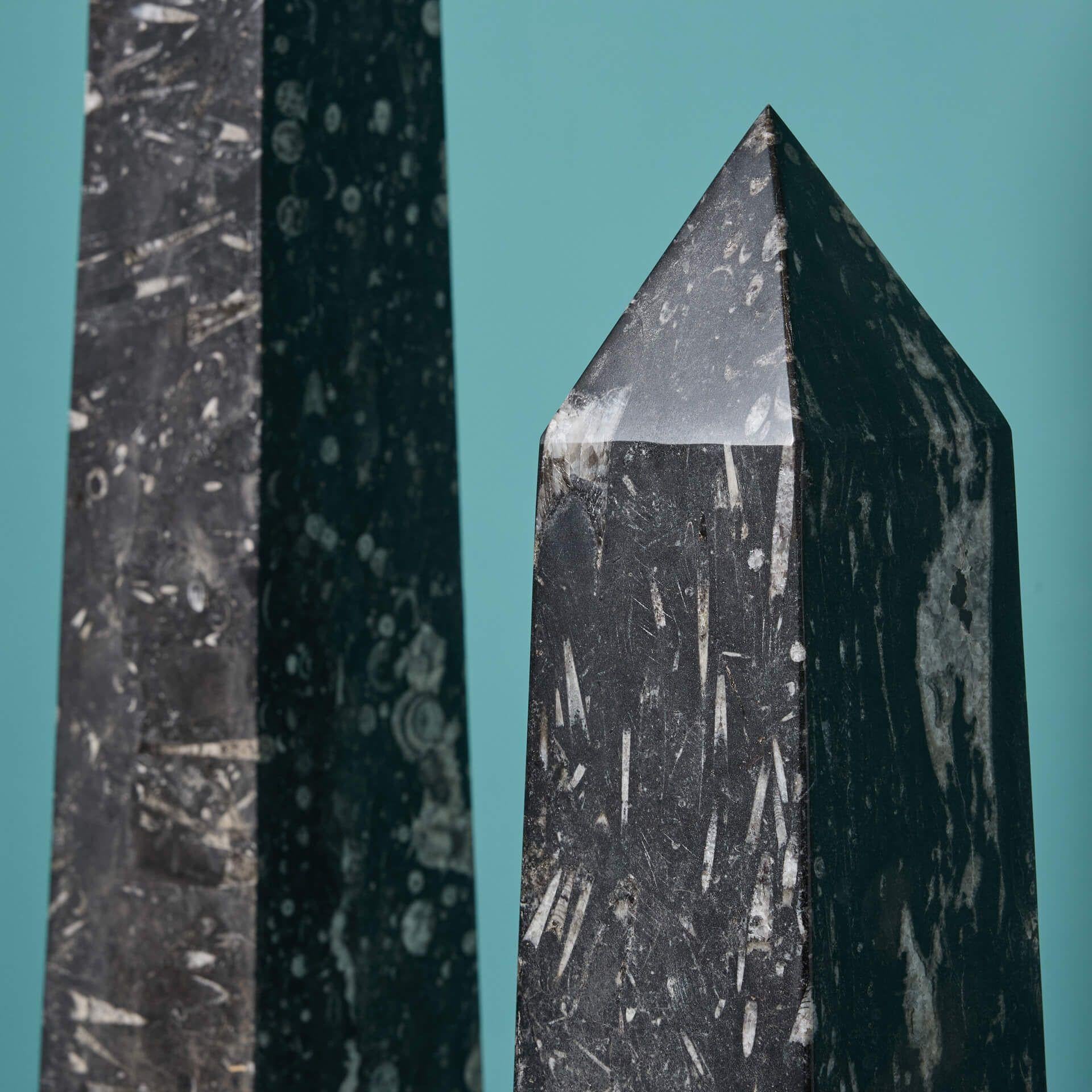 Mid-Century moderno Coppia di obelischi Orthoceras di grandi dimensioni in vendita