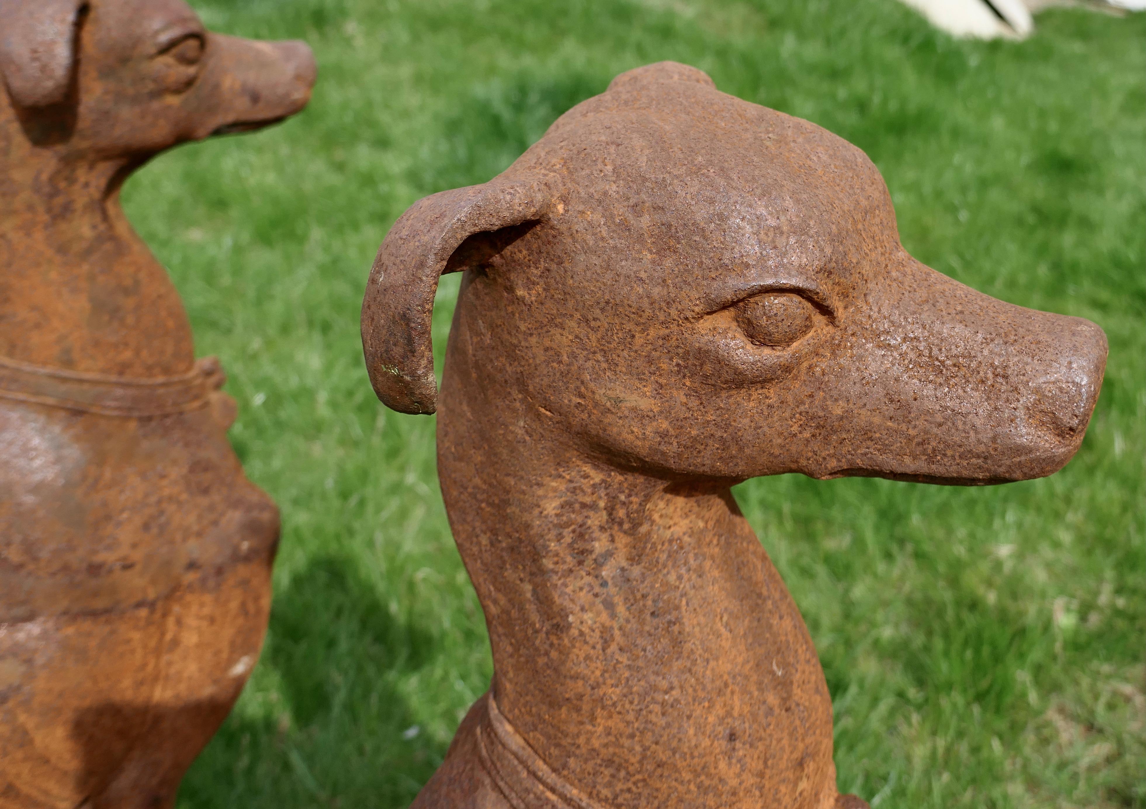 Arts and Crafts Pair of Large Outdoor Weathered Cast Iron Greyhound Dogs