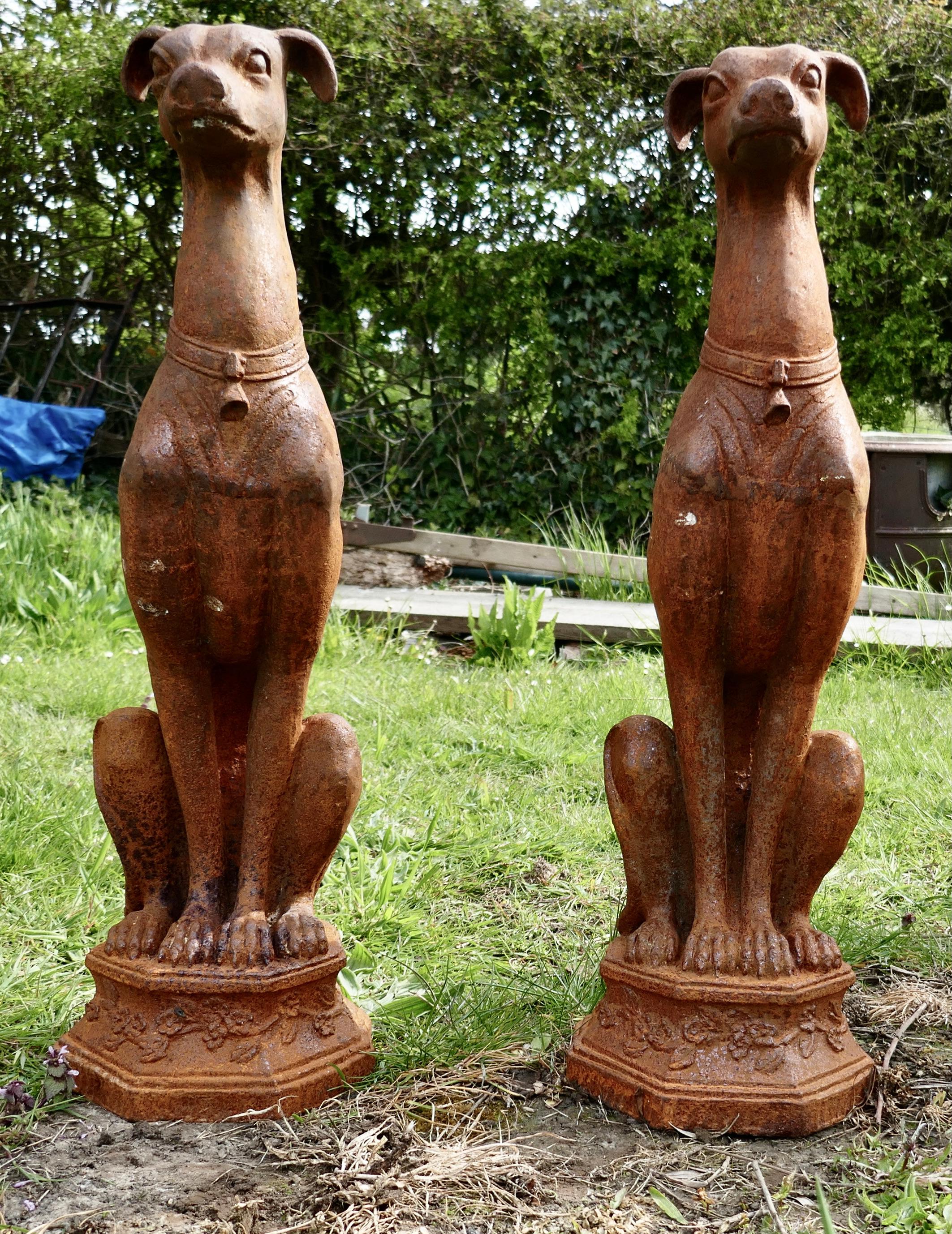 20th Century Pair of Large Outdoor Weathered Cast Iron Greyhound Dogs