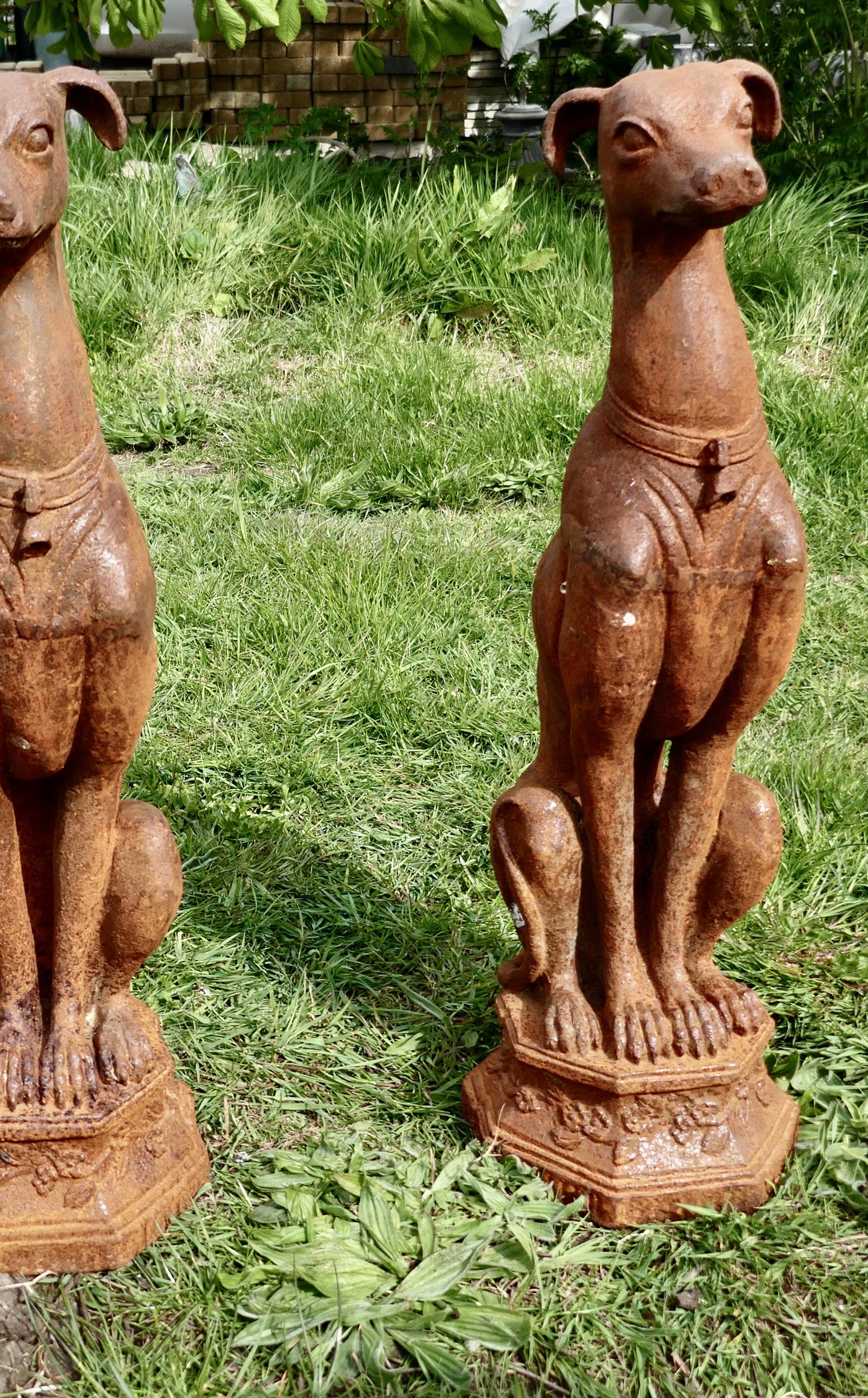 Pair of Large Outdoor Weathered Cast Iron Greyhound Dogs 1