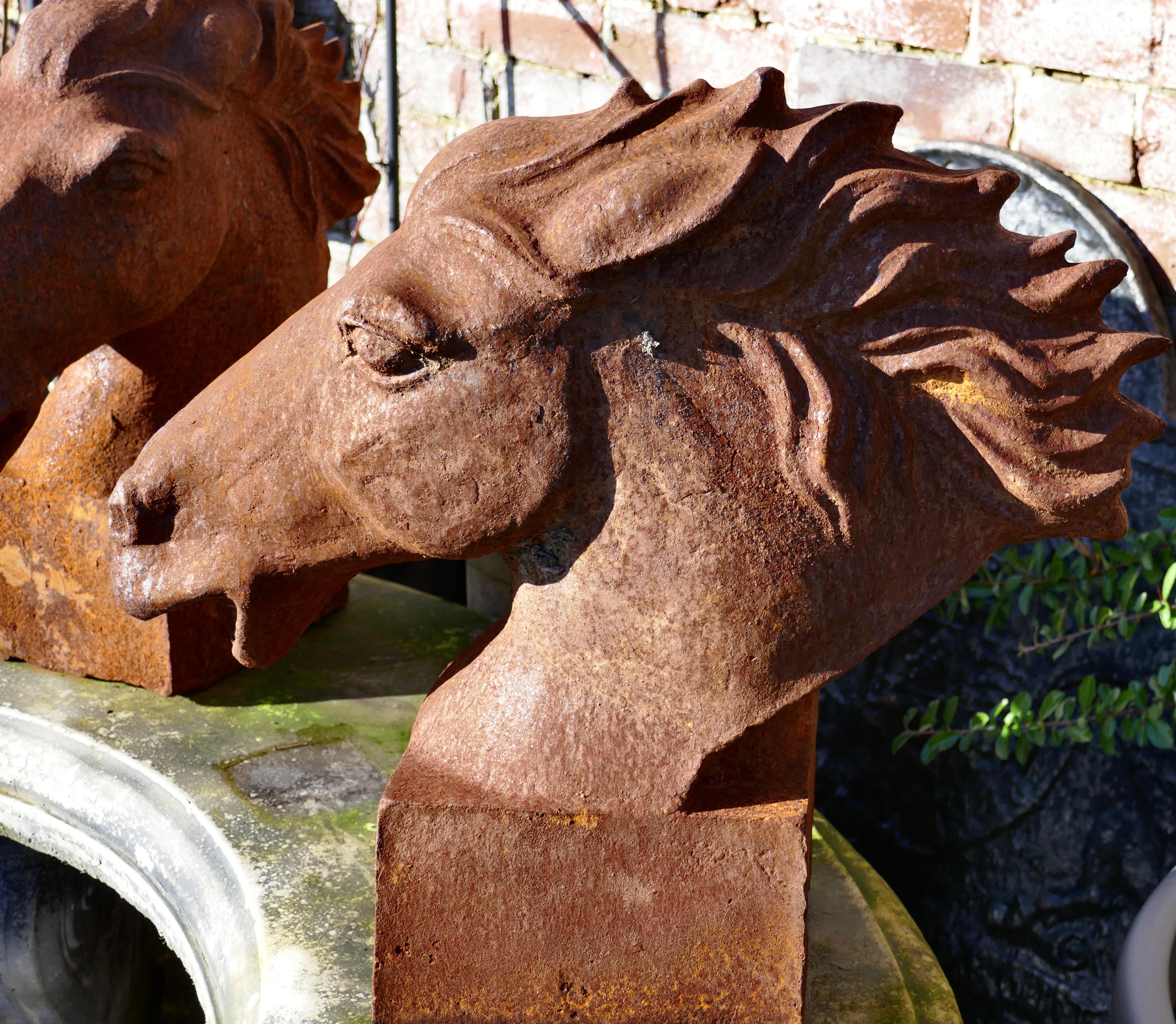 Pair of large outdoor weathered cast iron horse heads

This super pair they have a good outdoor patina they have been guarding a front gate for many years, racing into the wind
They are in very good condition with a beautifully Weathered patina