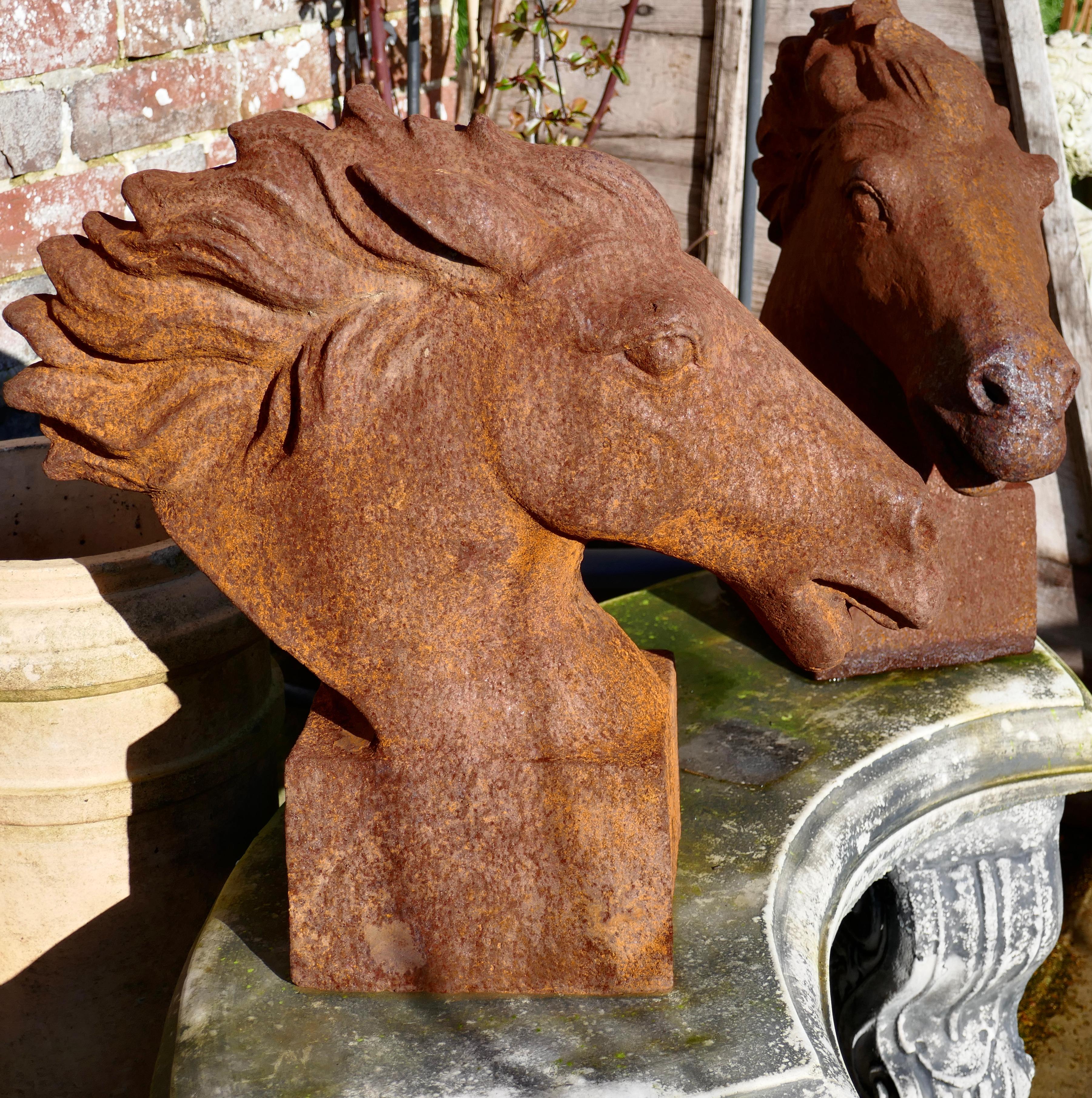 large cast iron horse head