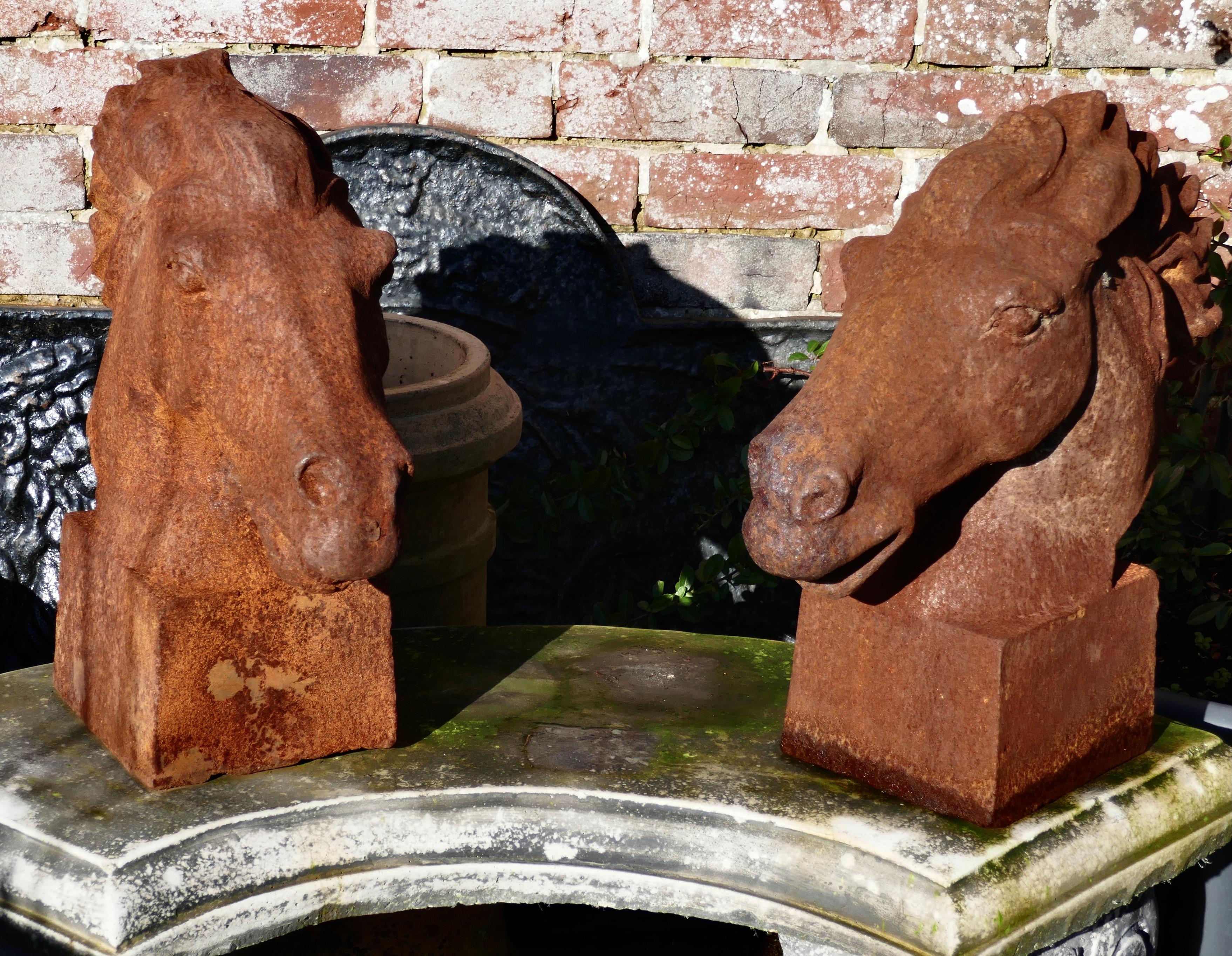 Pair of Large Outdoor Weathered Cast Iron Horse Heads 1