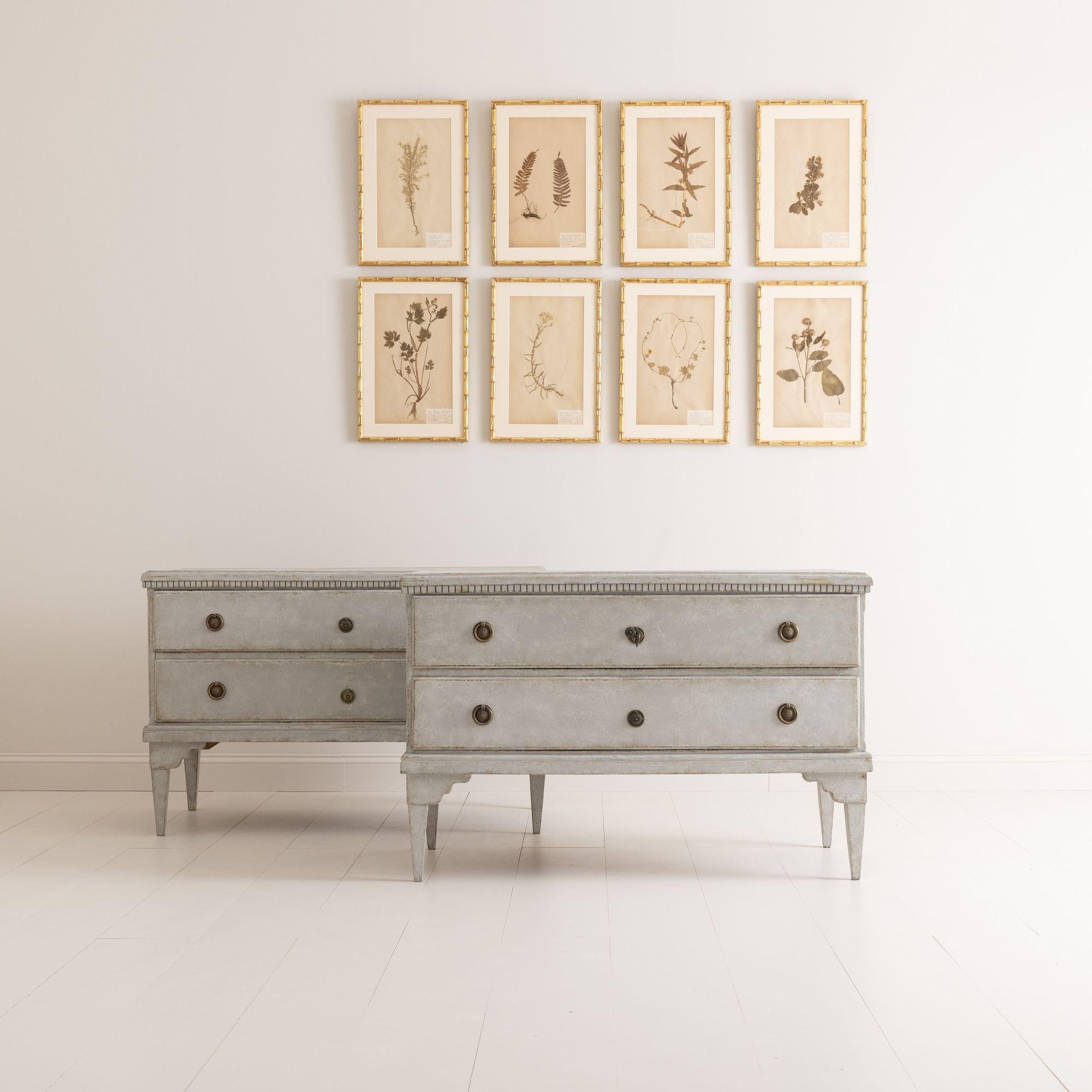 A pair of grand - scale Swedish chests of drawers from the Gustavian period with classic neoclassical styling. There is dentil molding around the tops of the chests and the chests rest upon tapered legs. There is one key. A beautiful pair offering