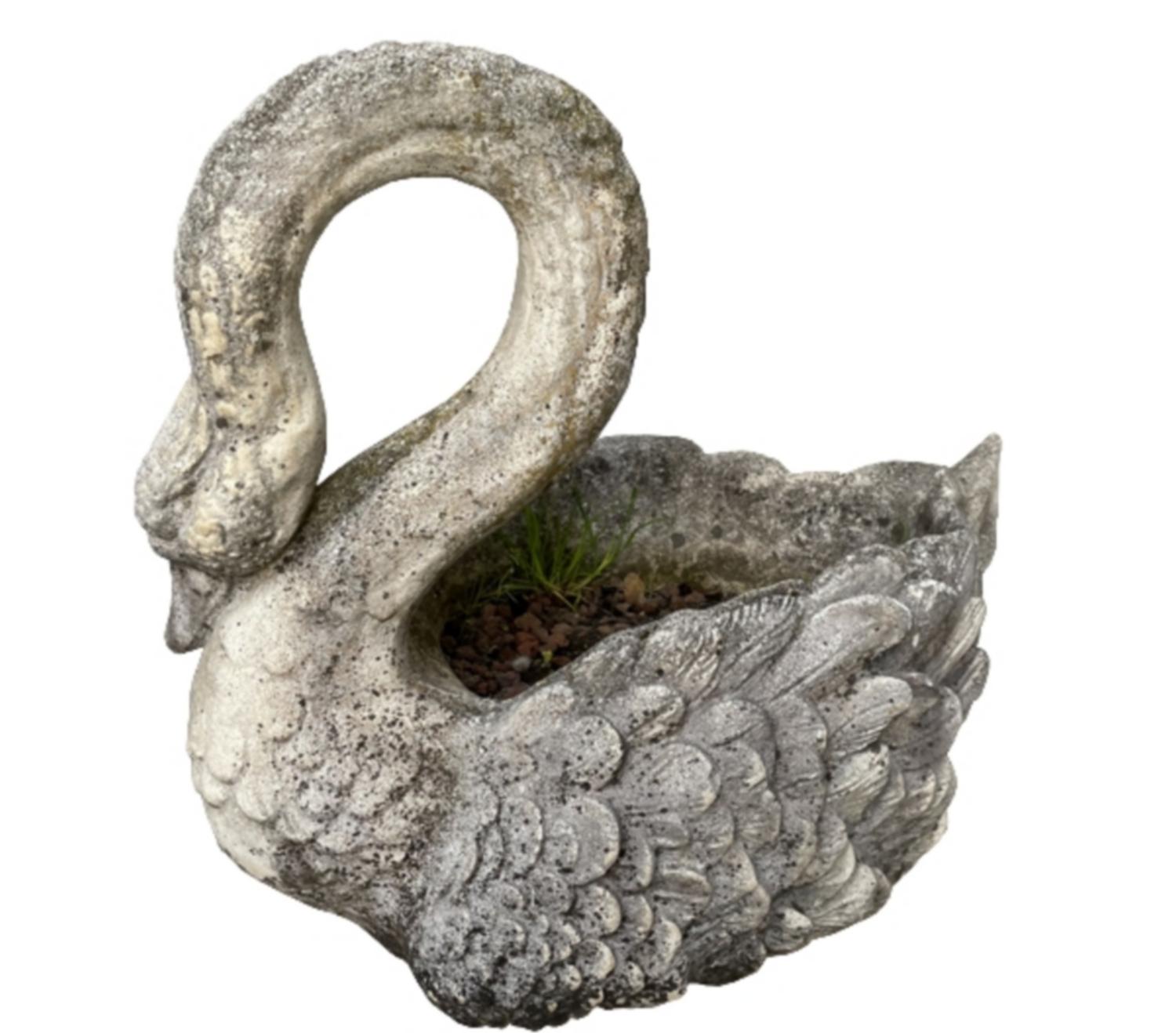 Pair of large cement planters in the shape of swans, with their original patina.
France around 1950.