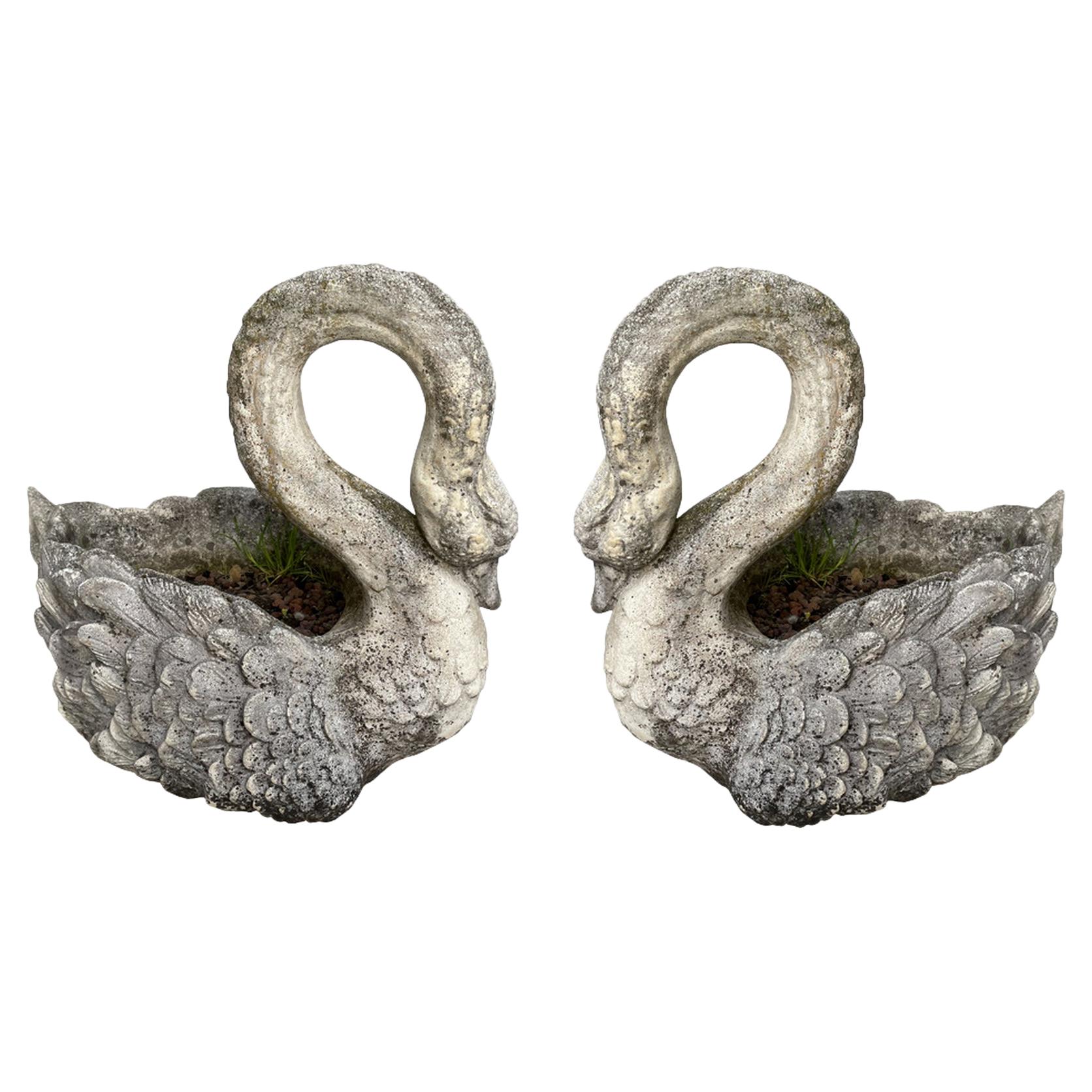 Pair of Large Planters "Swan" in Cement