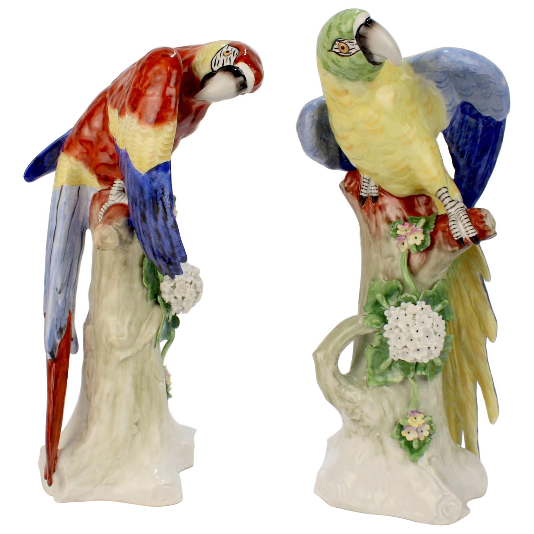 Pair of Large Polychrome Vintage Sitzendorf Porcelain Macaw Parrot Figurines