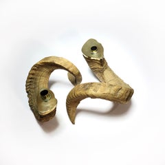 Pair of Large Ram Horns and Brass Candleholders