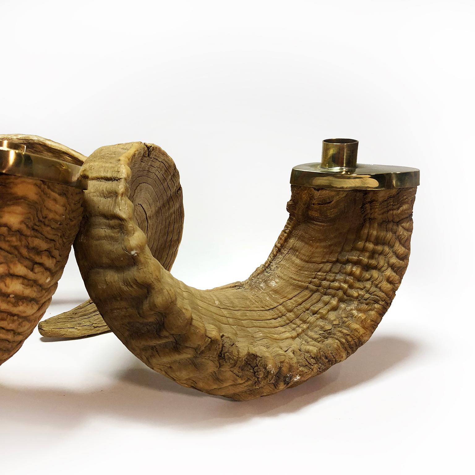Pair of Large Ram Horns and Brass Candleholders In Fair Condition In Mexico City, CDMX