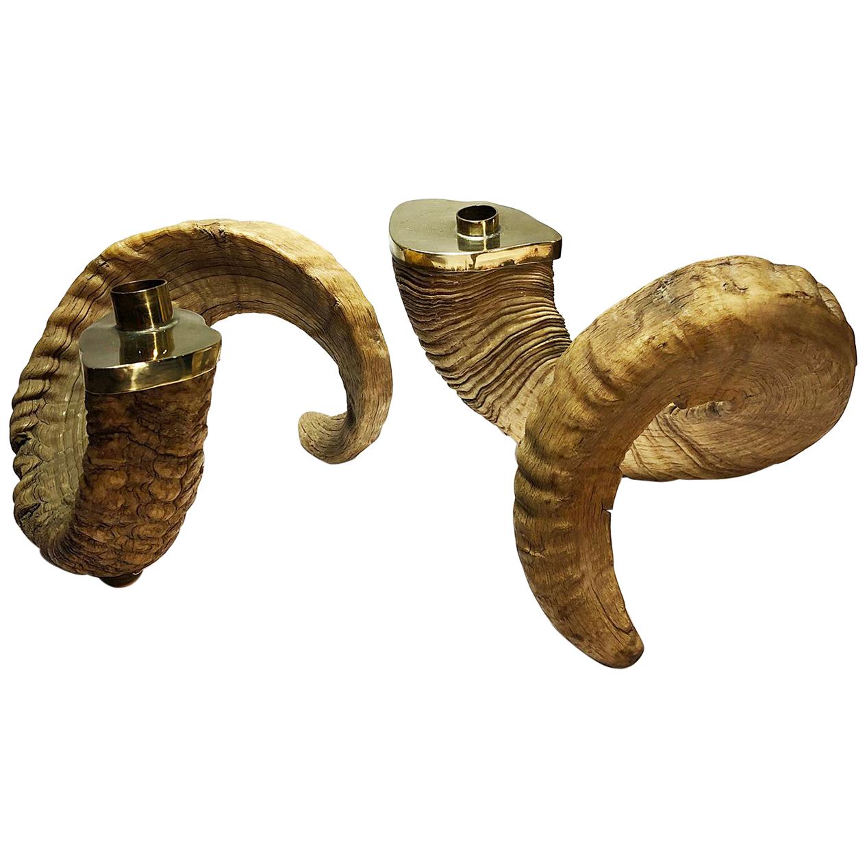 Pair of Large Ram Horns and Brass Candleholders