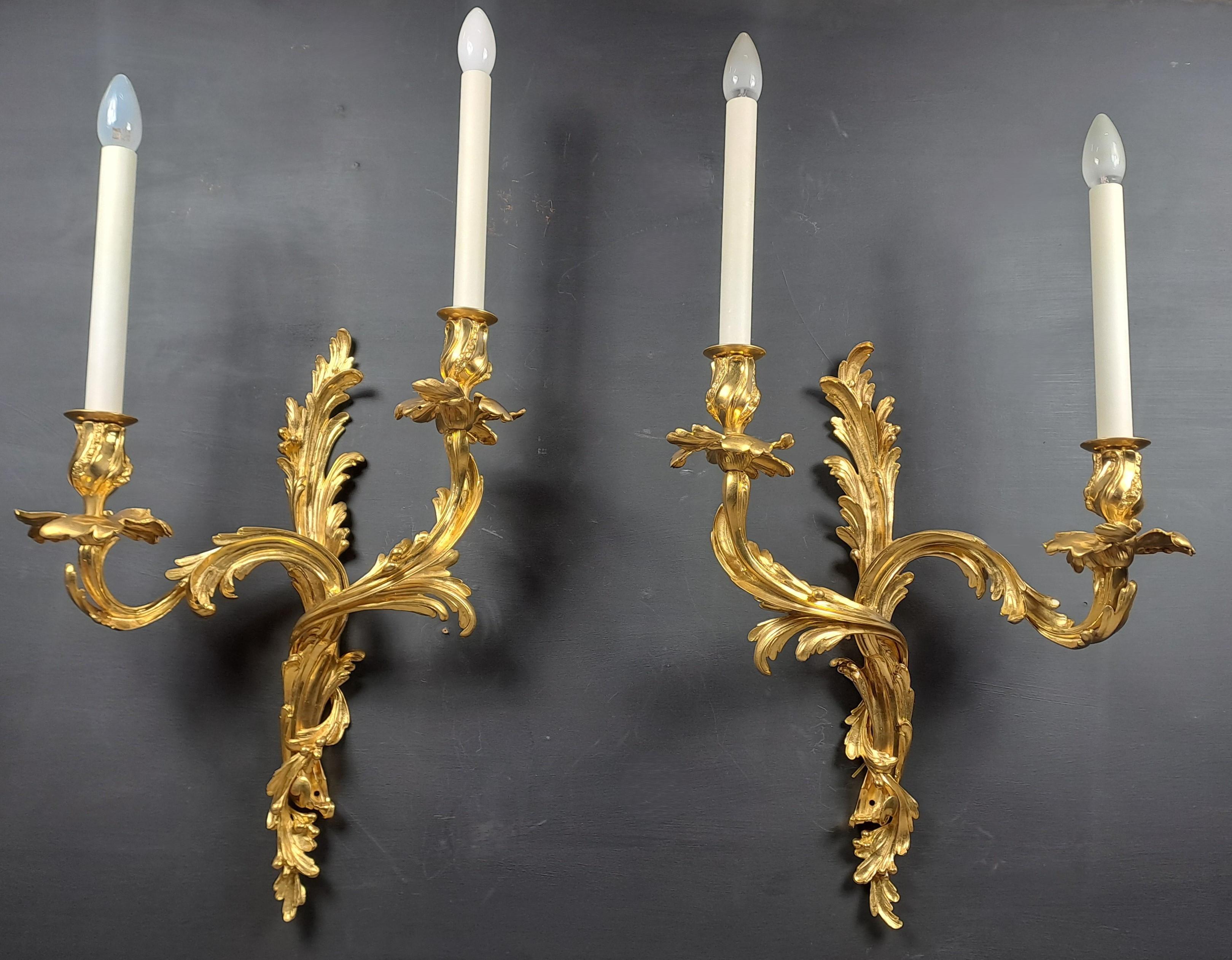Imposing pair of large Louis XV Rocaille style sconces in very finely chiseled gilded bronze decorated with acanthus leaves and mistletoe branches.

Superb Parisian work from the end of the 19th century.

Brilliant gilding, sublime!

Beautiful size: