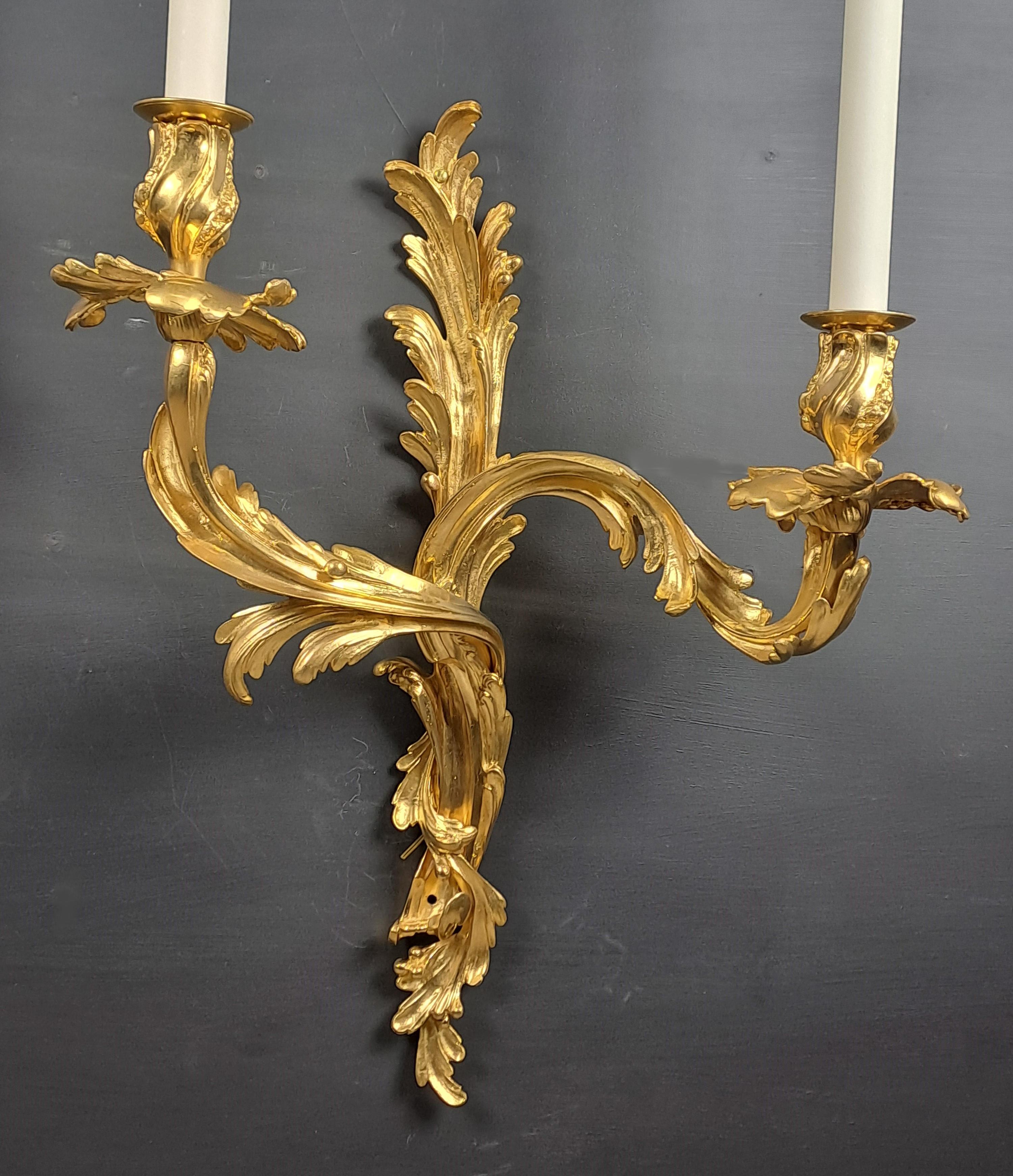 Louis XV Paire de grandes lampes murales Rocaille en bronze doré en vente