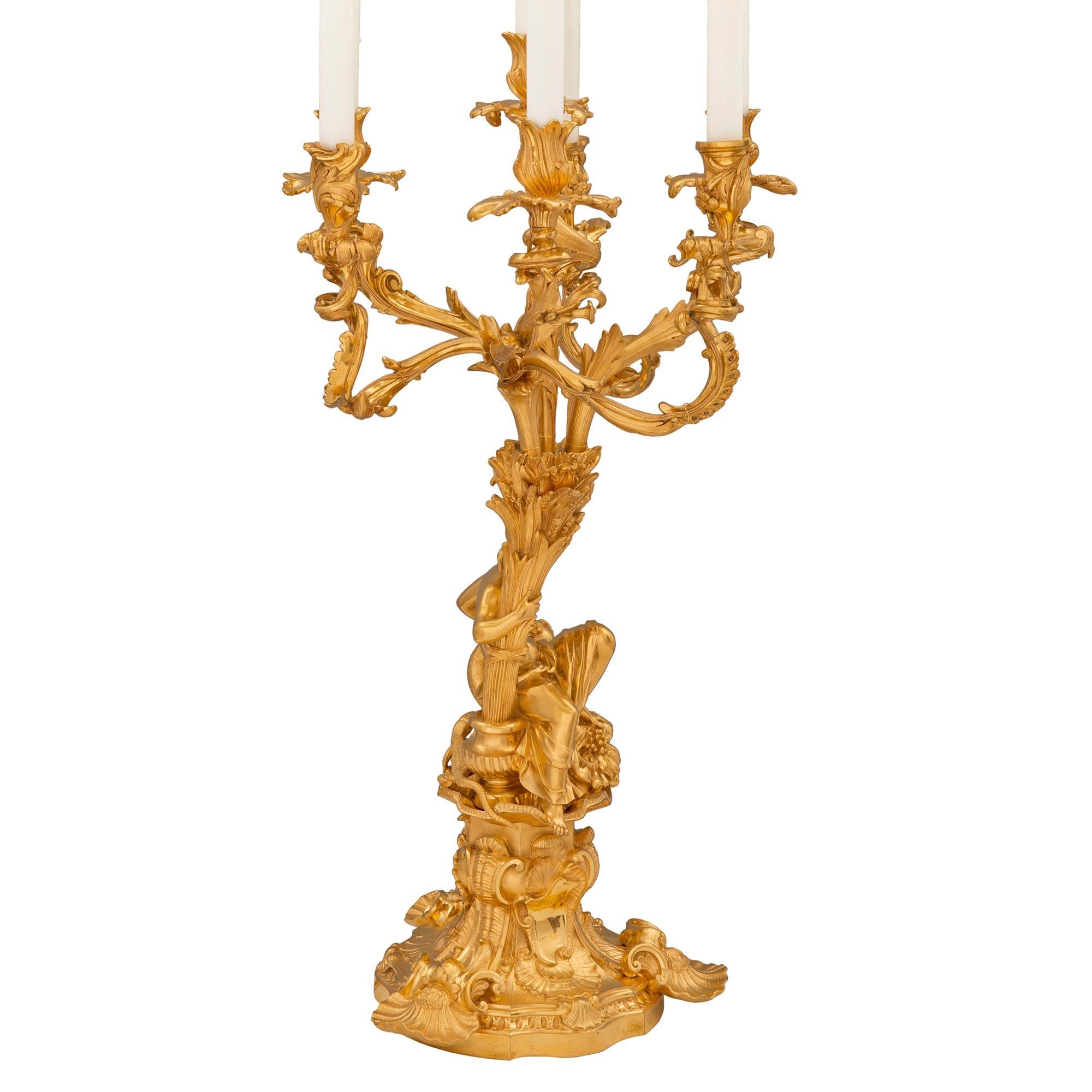 Paire de grandes lampes candélabres en bronze doré de style Louis XV du XIXe siècle à grande échelle Bon état - En vente à West Palm Beach, FL